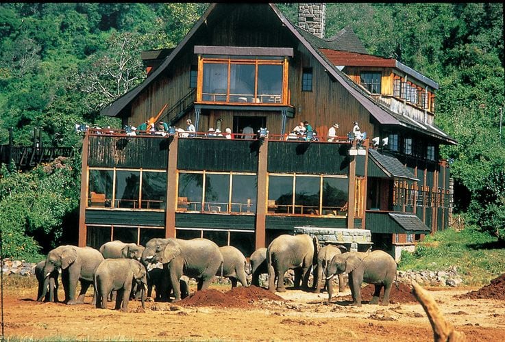 Aberdare National Park