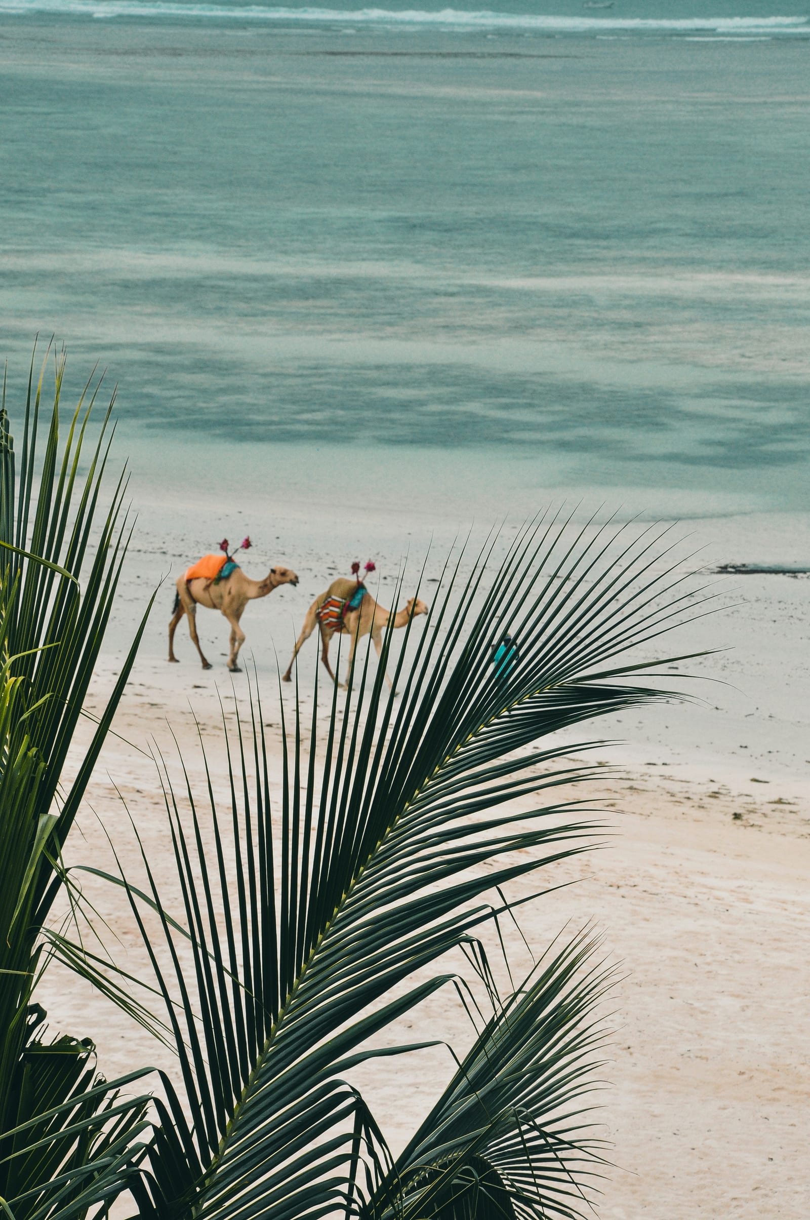 Lamu Island