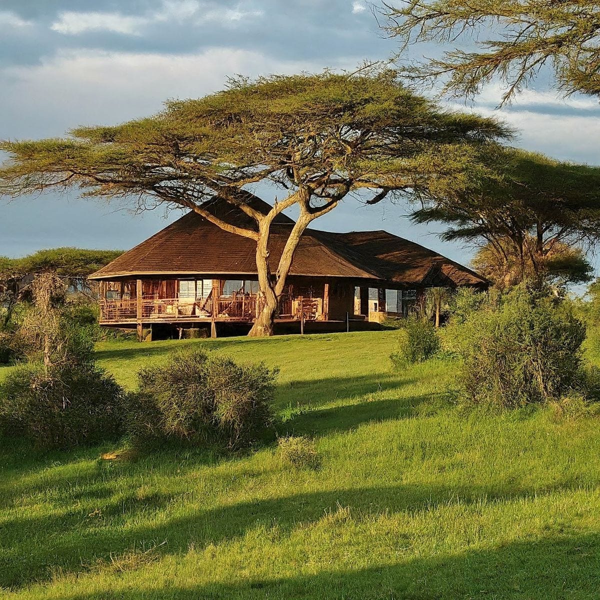 Lake Naivasha