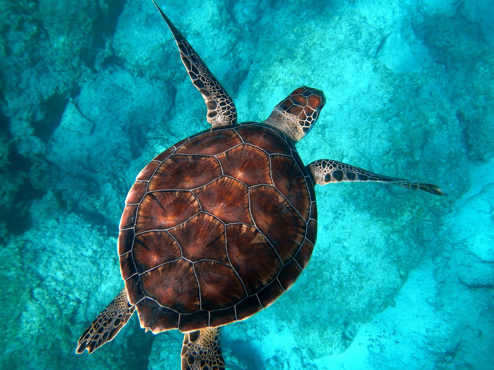 Watamu Marine National Park