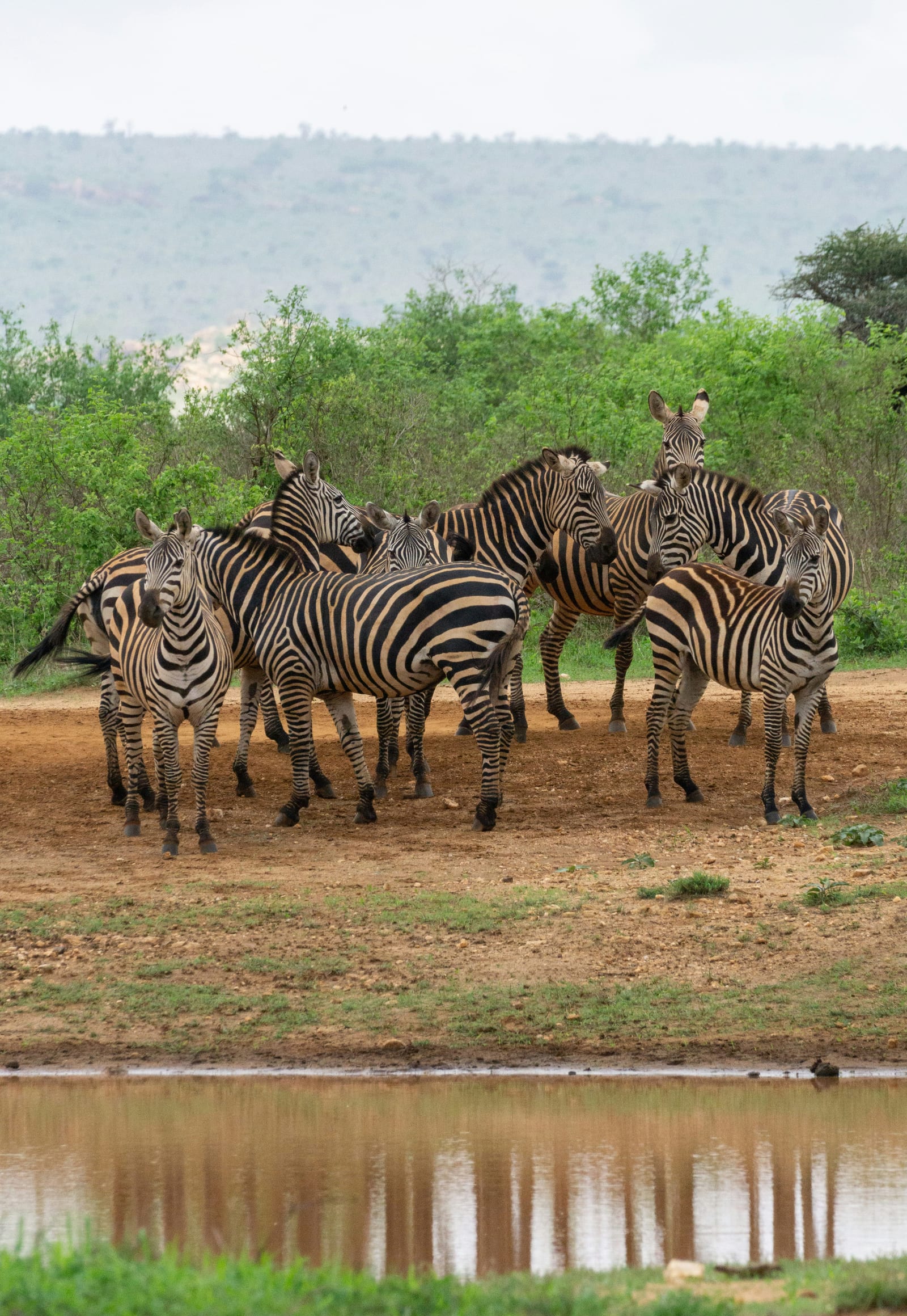 Tsavo West National Park