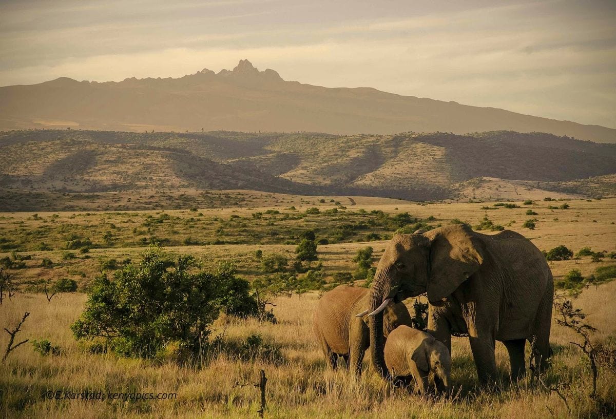 Laikipia