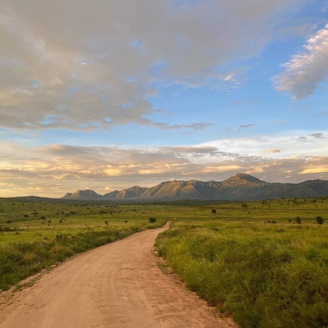 Taita Hills