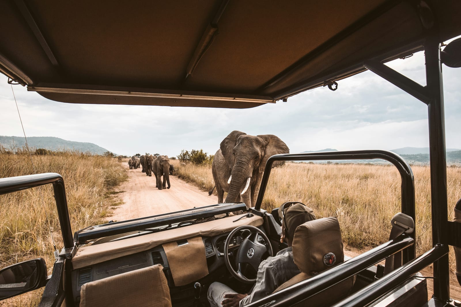 Maasai Mara
