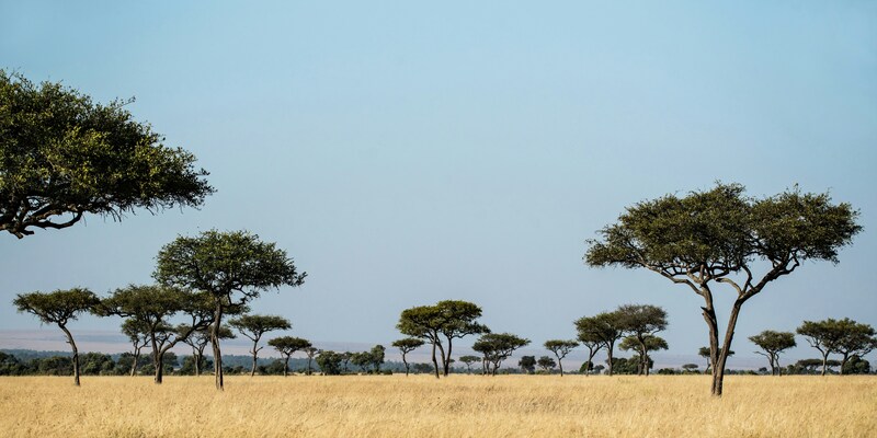 Warm & dry season in Kenya