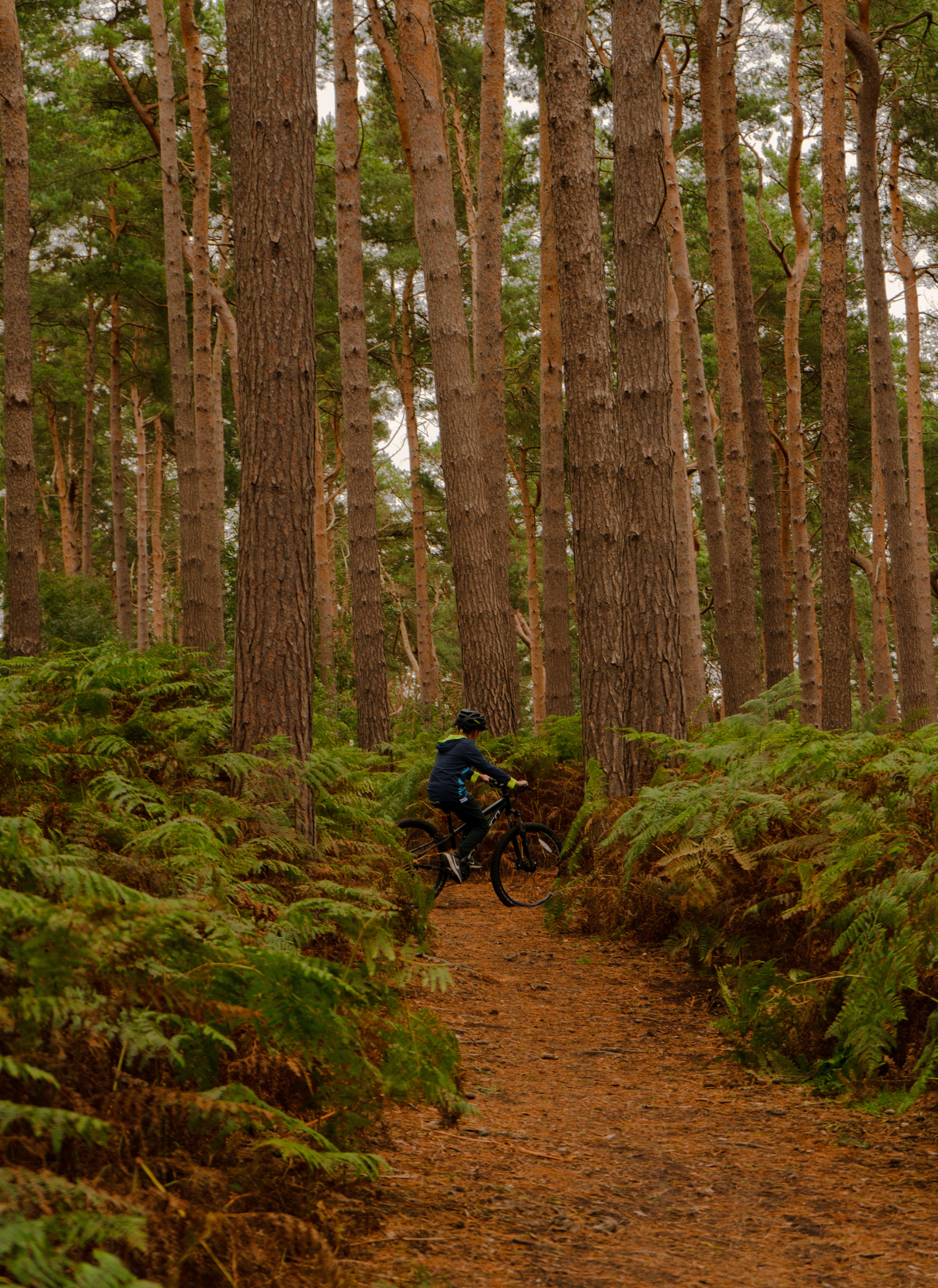 Mountain Biking