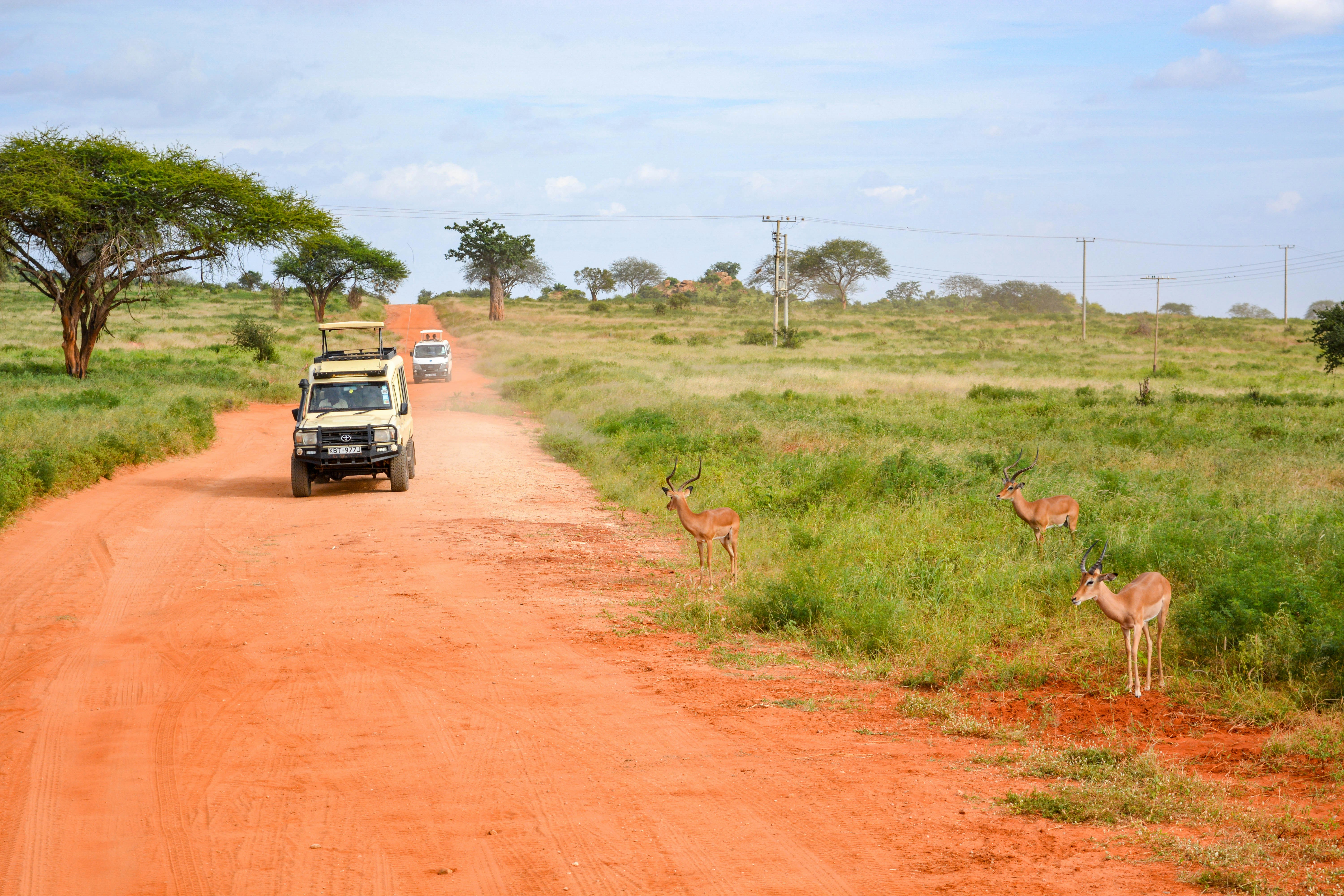 Game Drive