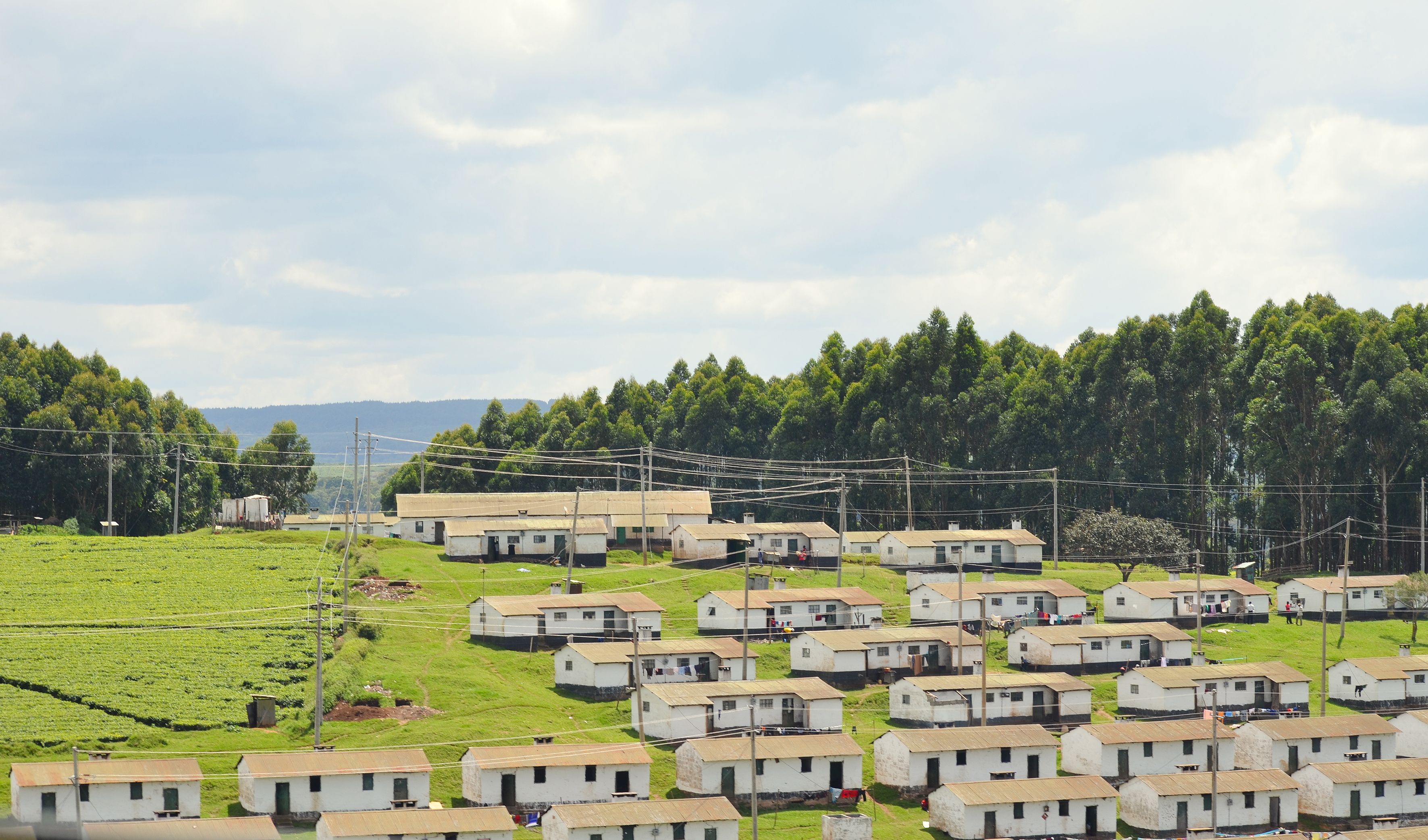 Farm Stay and Agricultural Experience