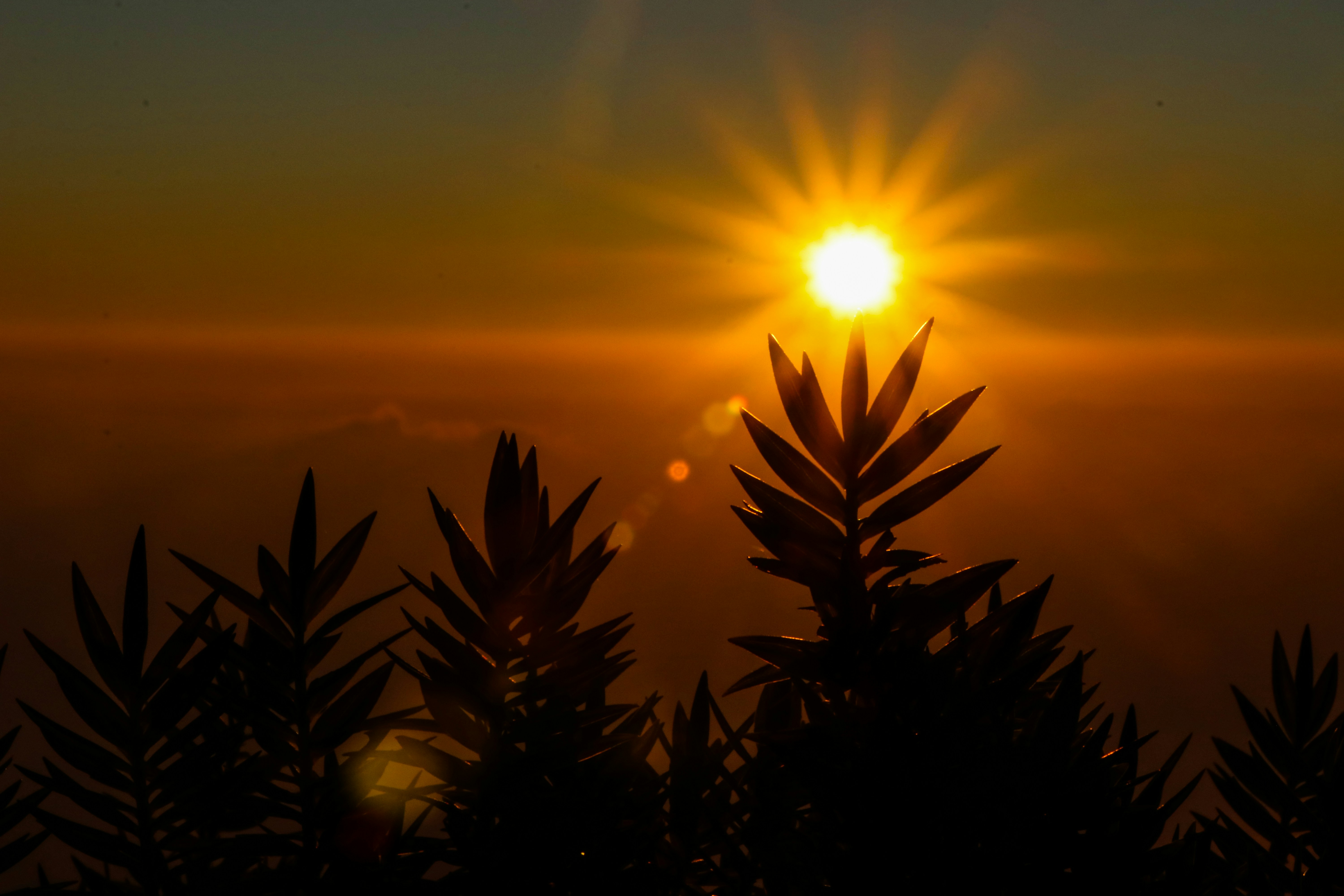 Sunrise or Sunset Hike