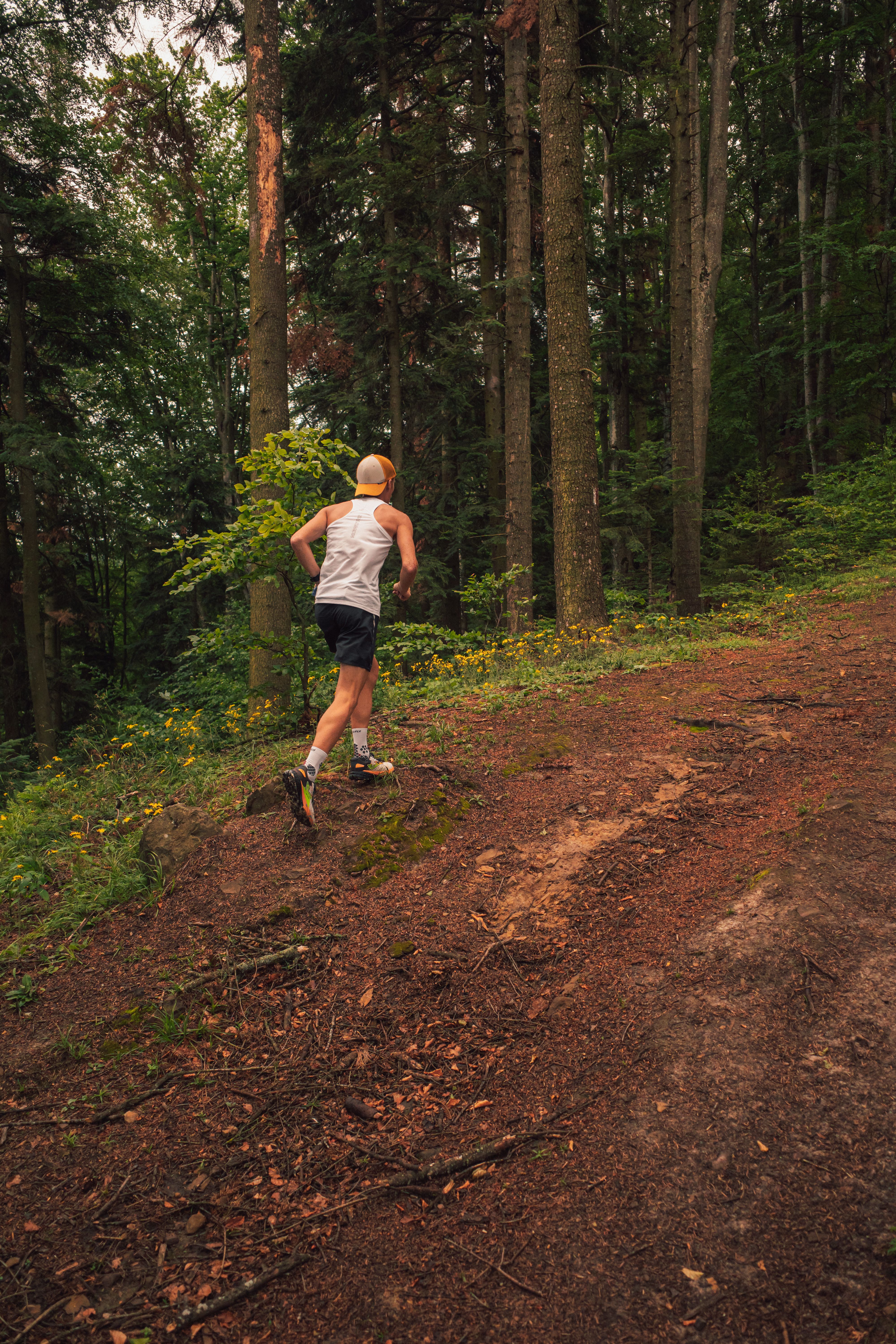 Trail Running Circuit