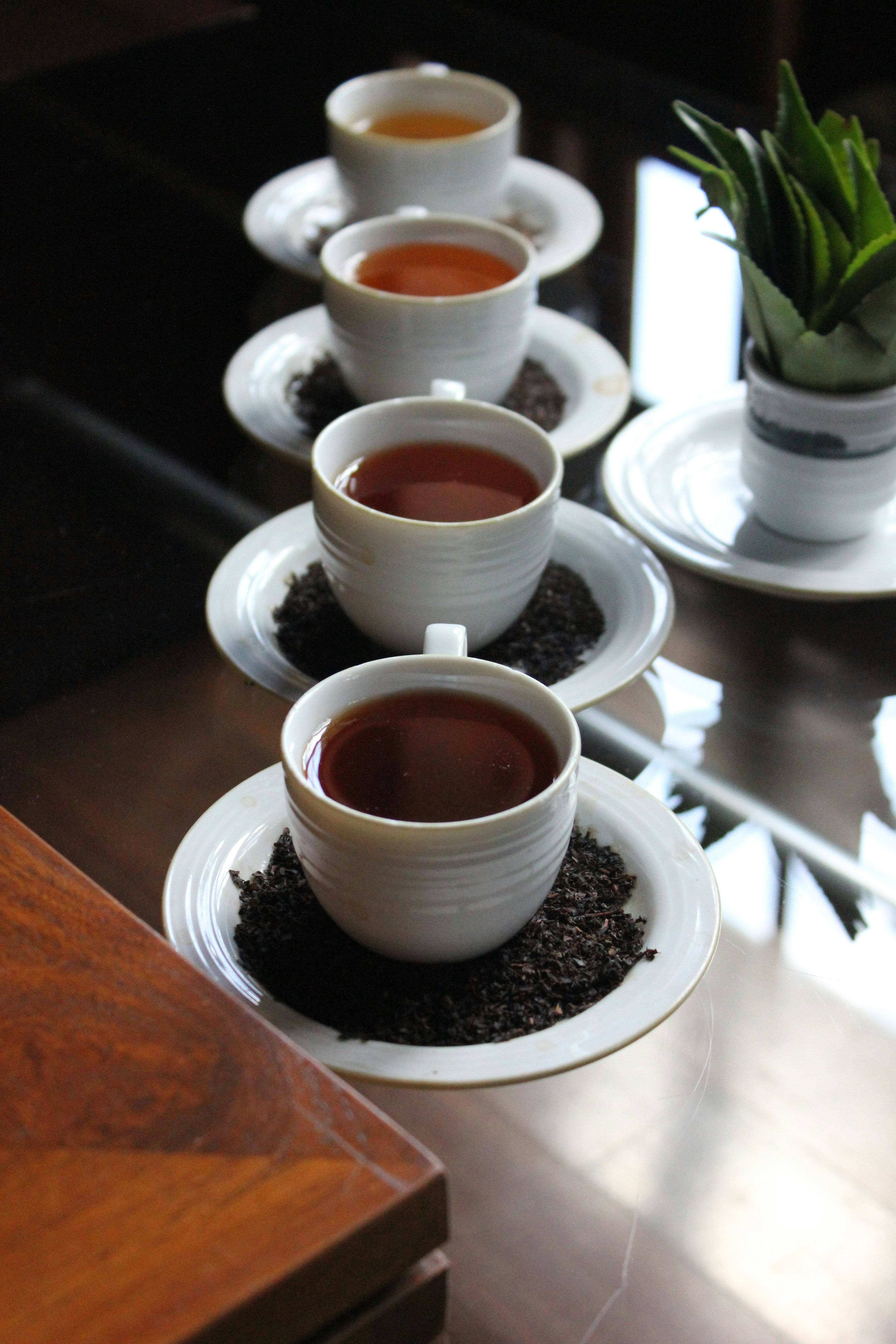 Tea Tasting and High Tea Experience
