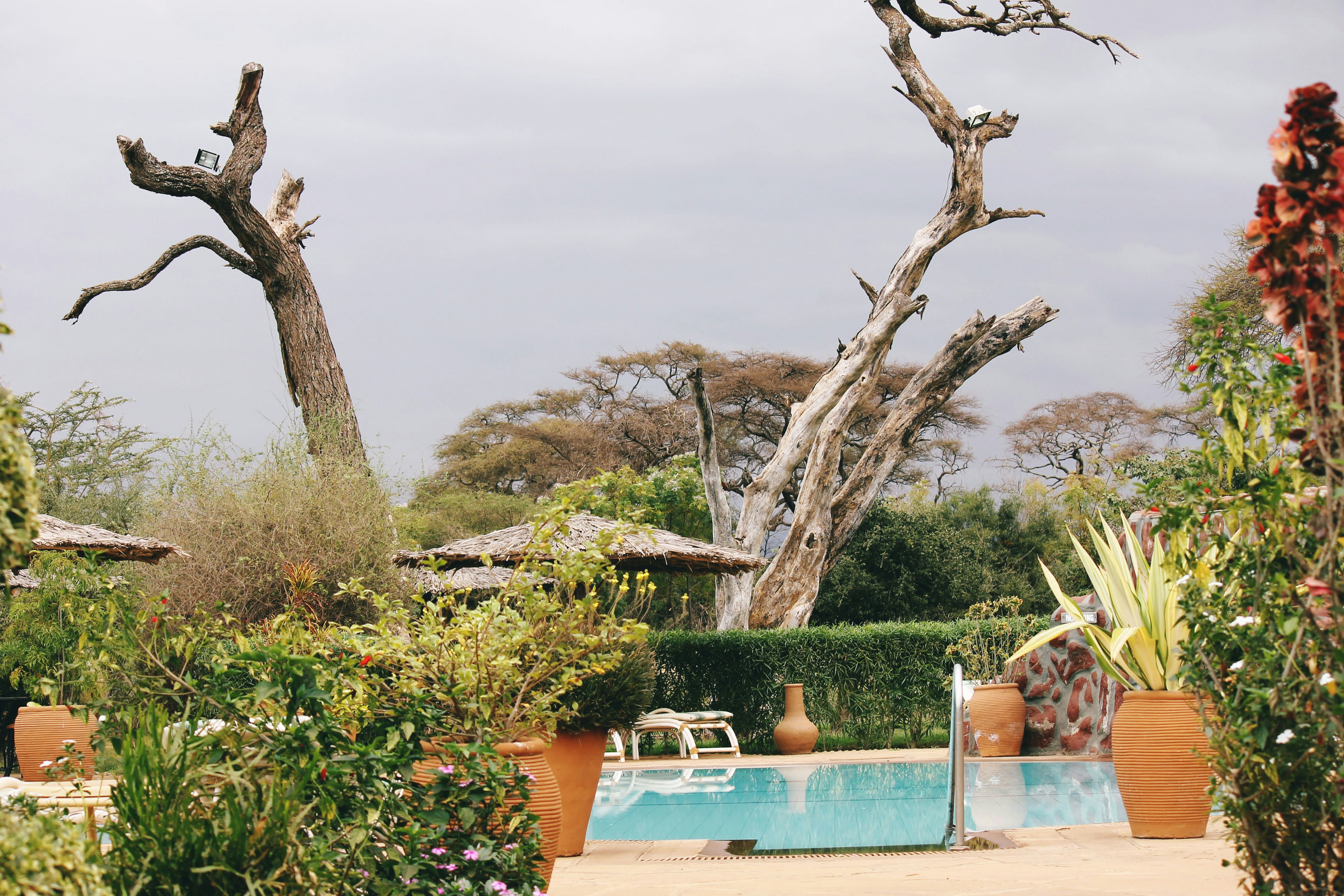 Spa and Wellness at Hotels