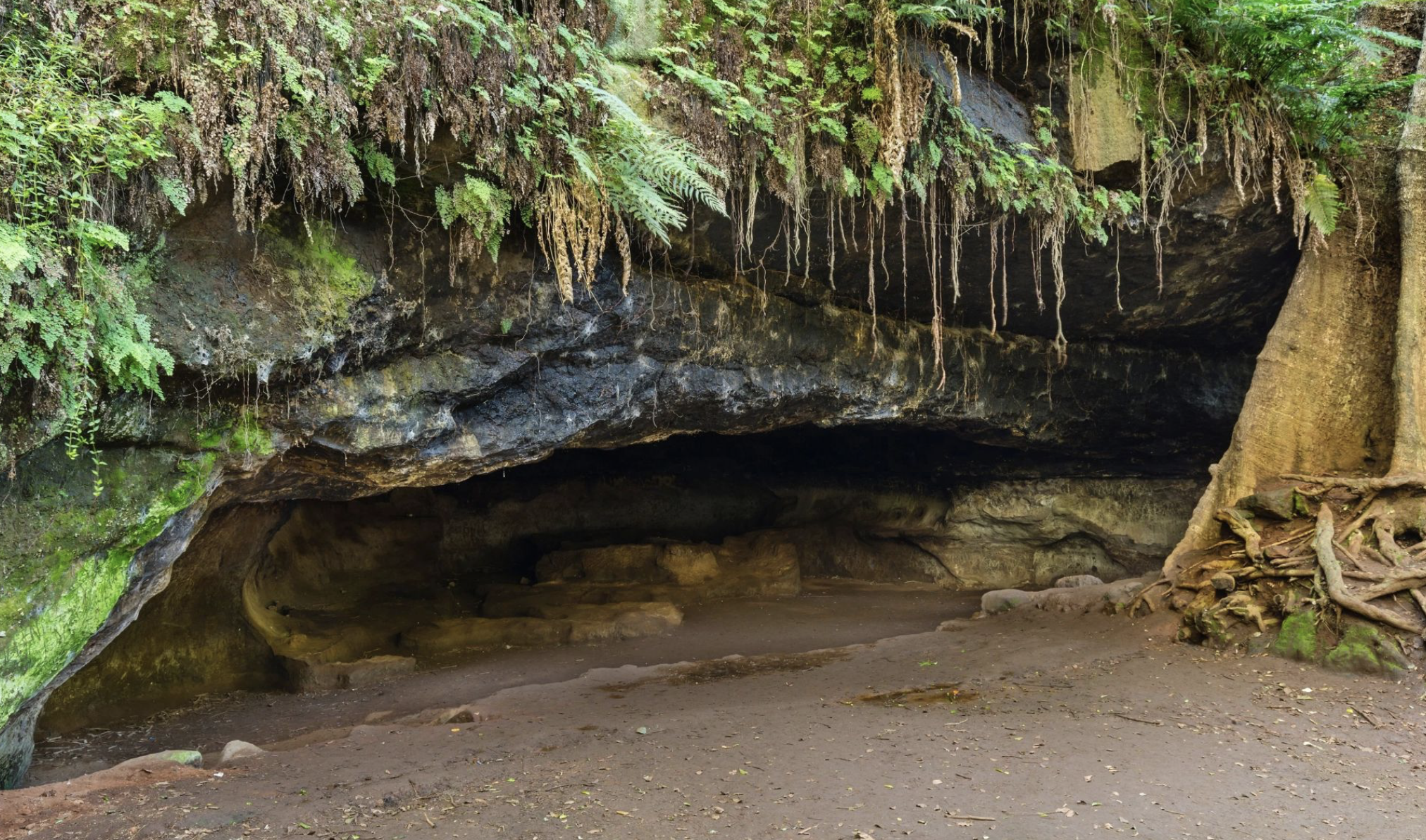Caves and Mau Mau History Walk