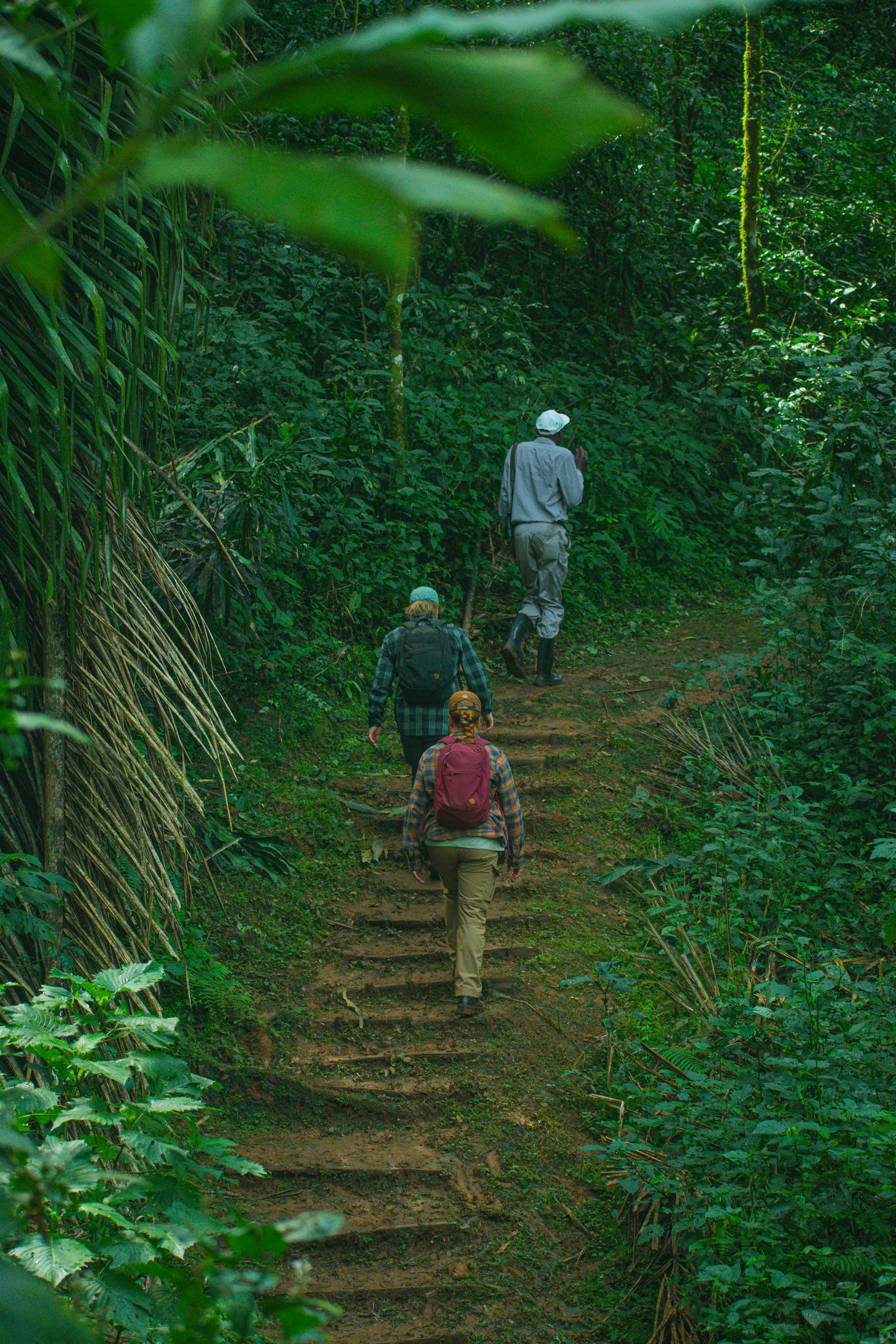 Kakamega Forest