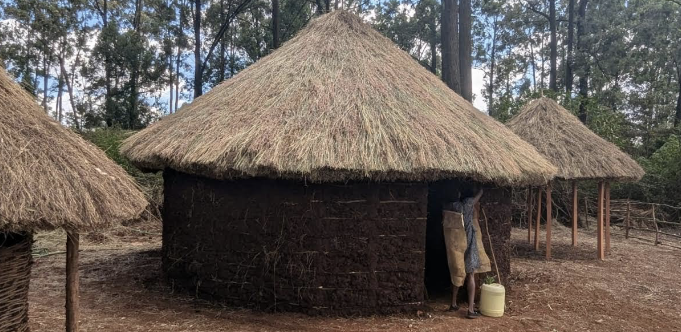 Homestay Cultural Immersion