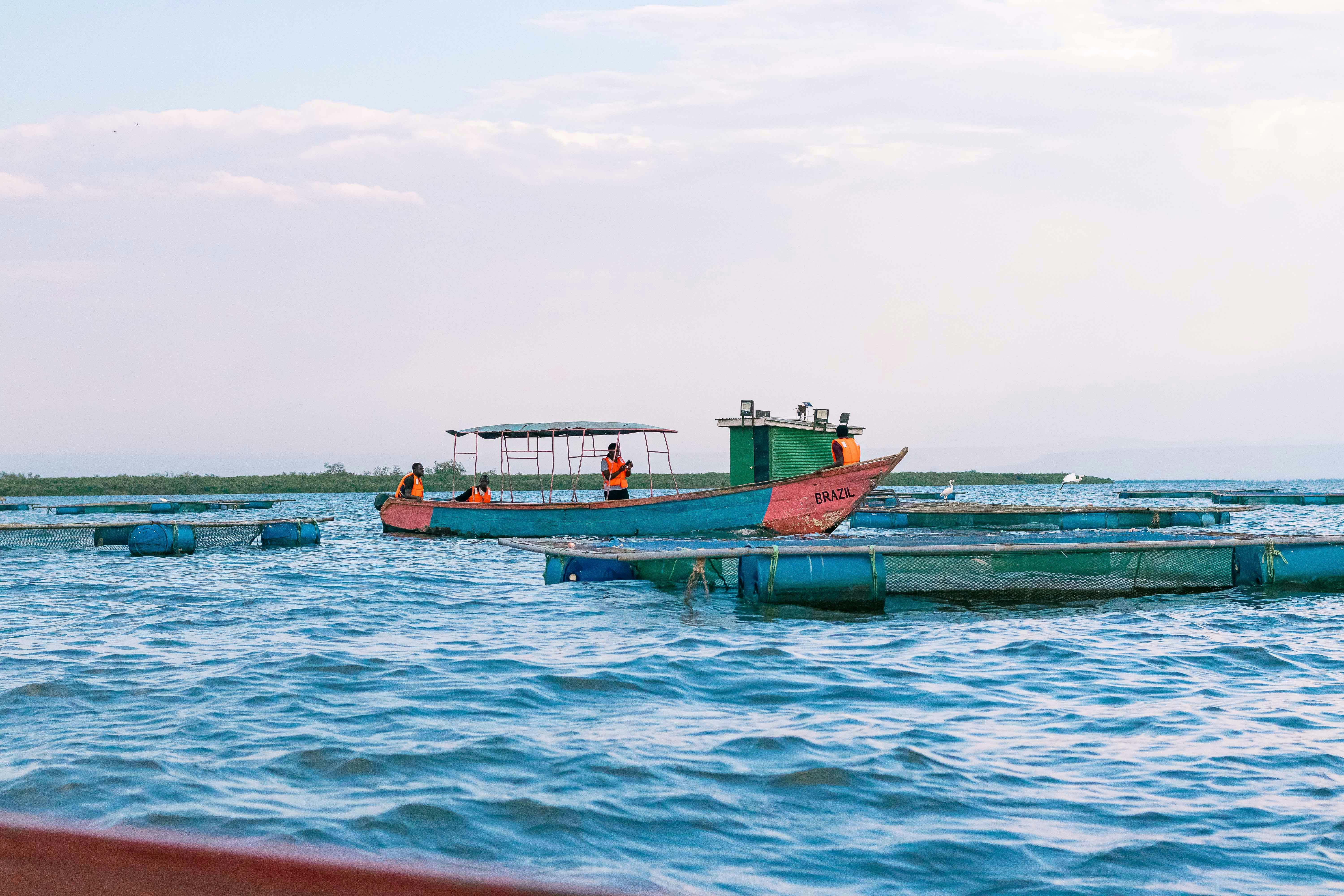 Lake Victoria Boat Safari
