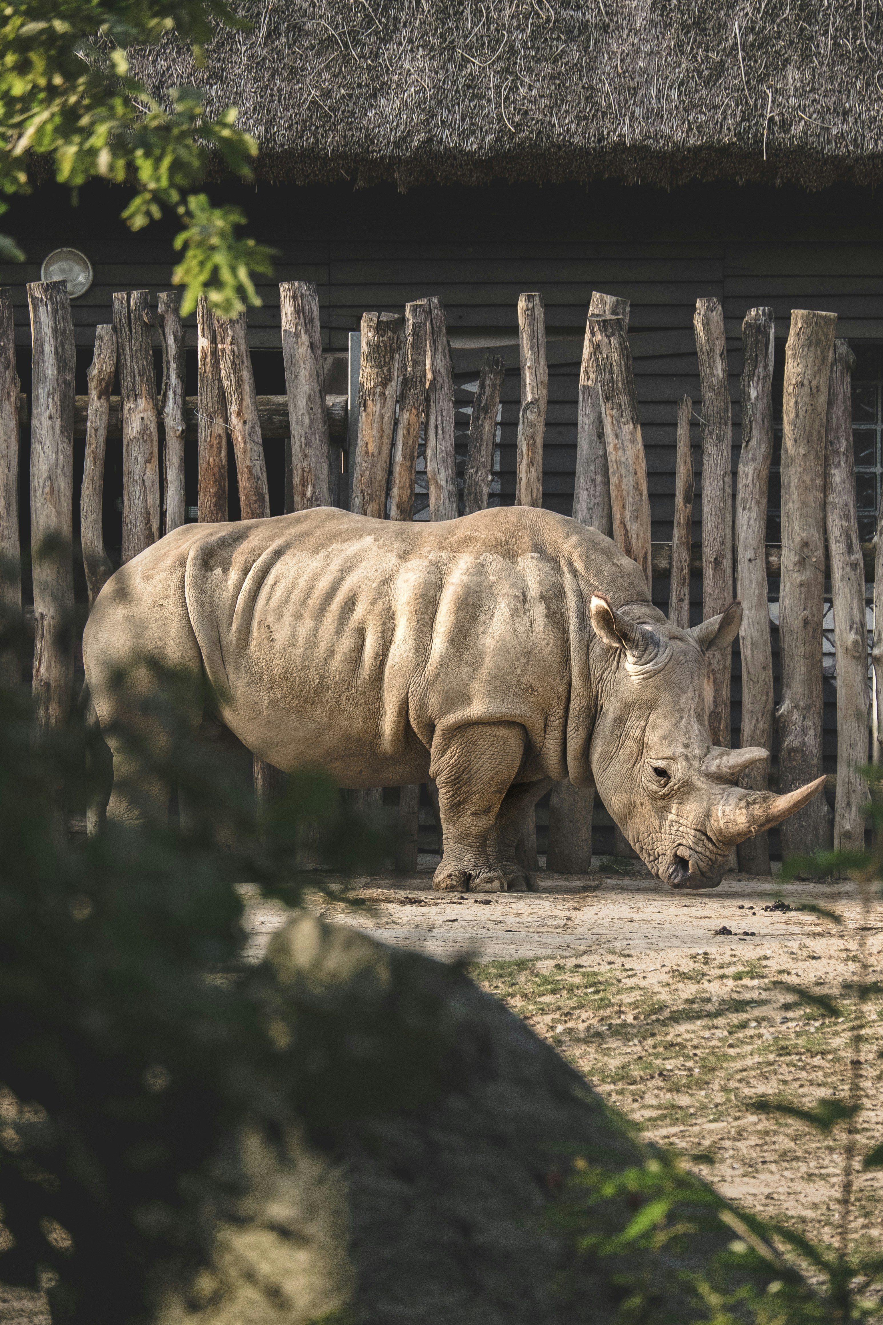 Ngulia Rhino Sanctuary Tour