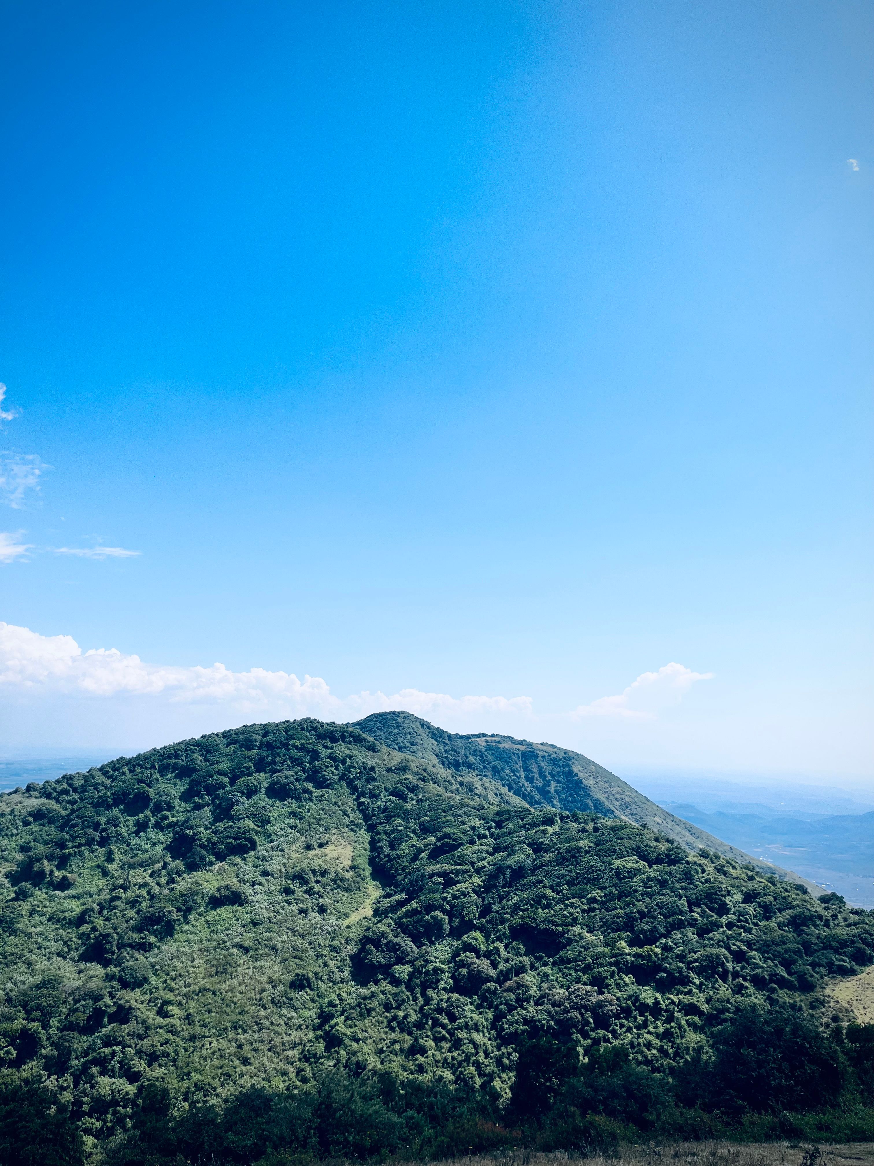 Guided Nature and Viewpoint Walk