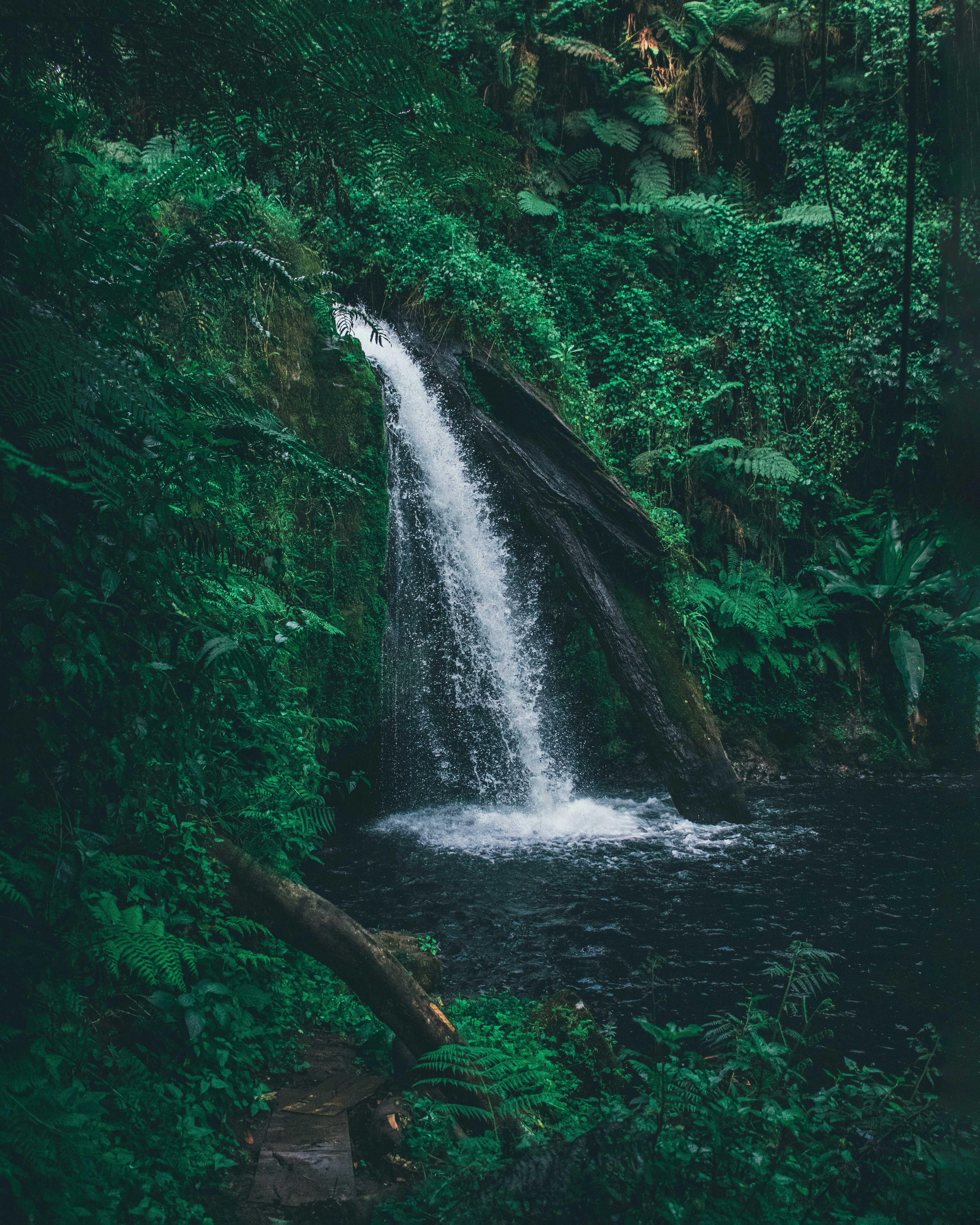 Waterfall and River Valley Hike