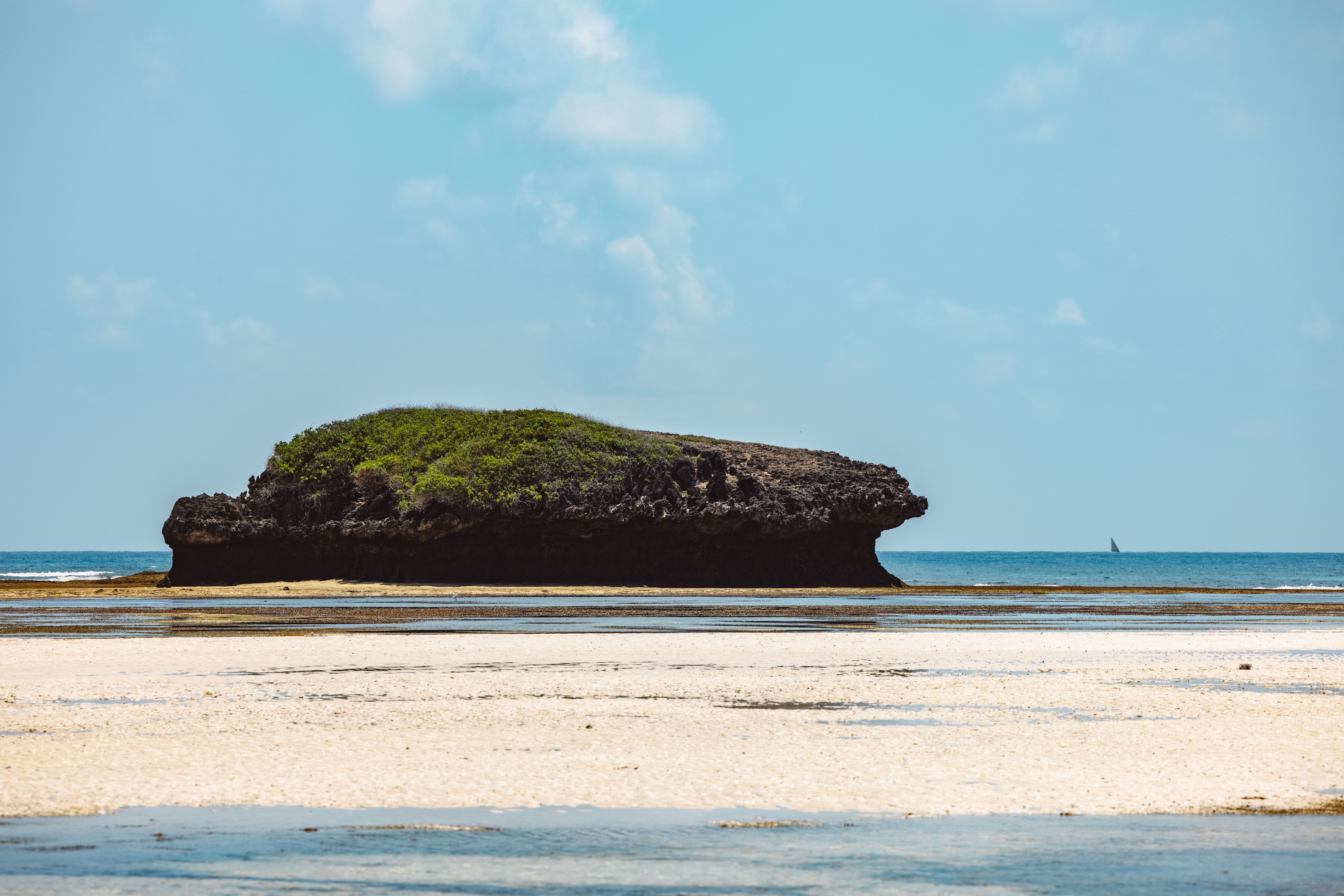 Beach Day at Blue Lagoon or Turtle Bay