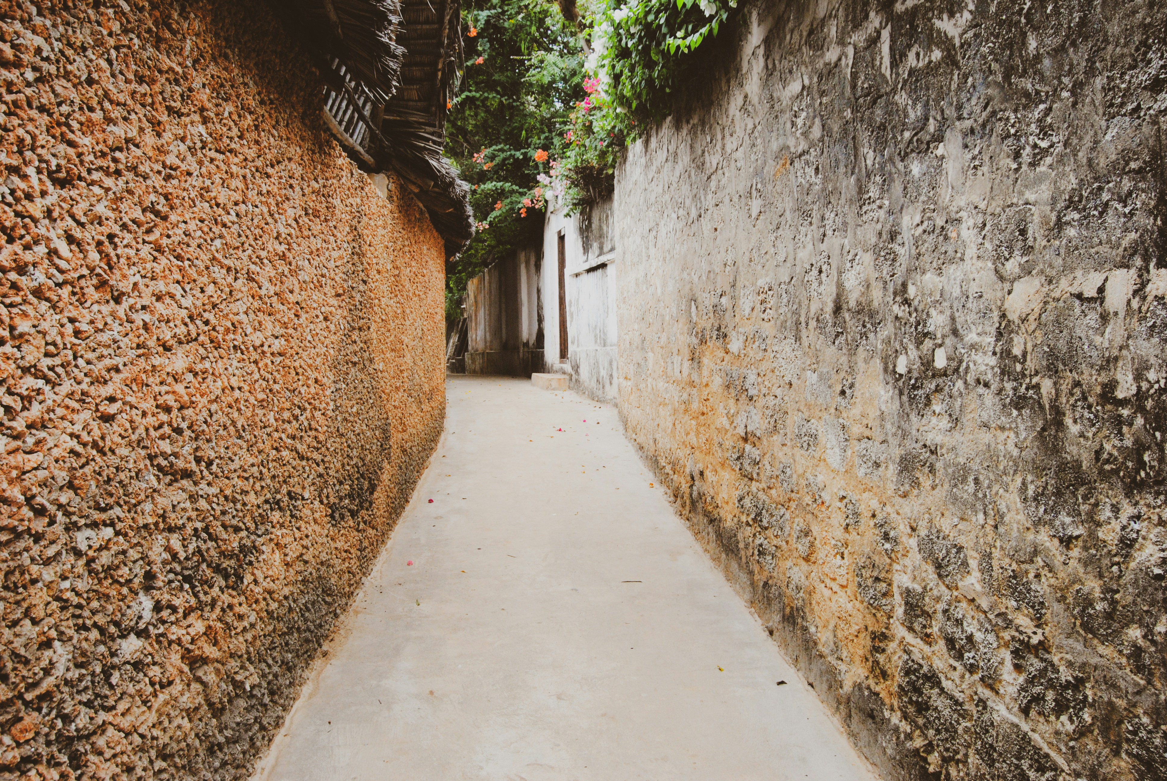 Lamu Old Town Walking Tour