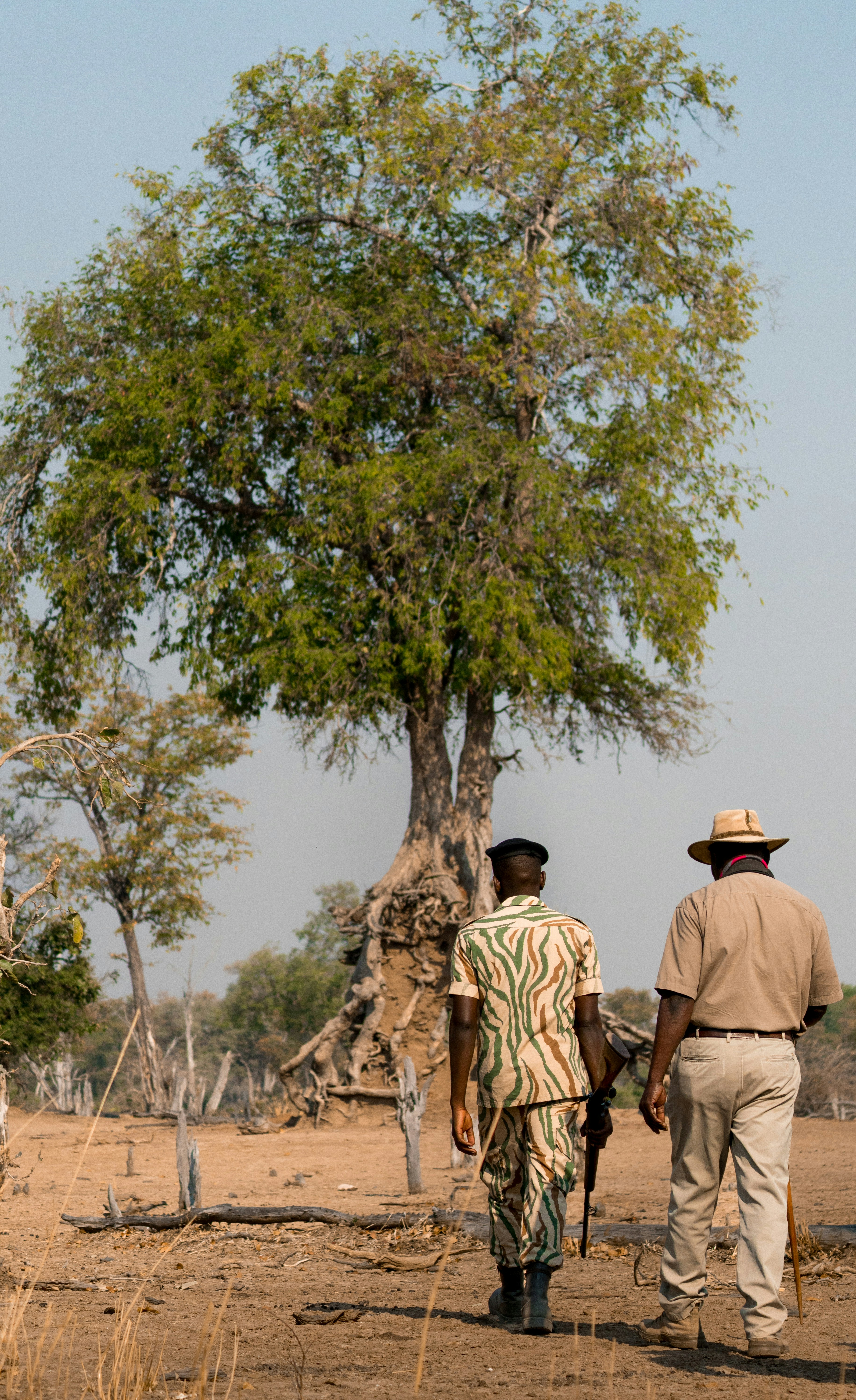 Guided Bush Walks