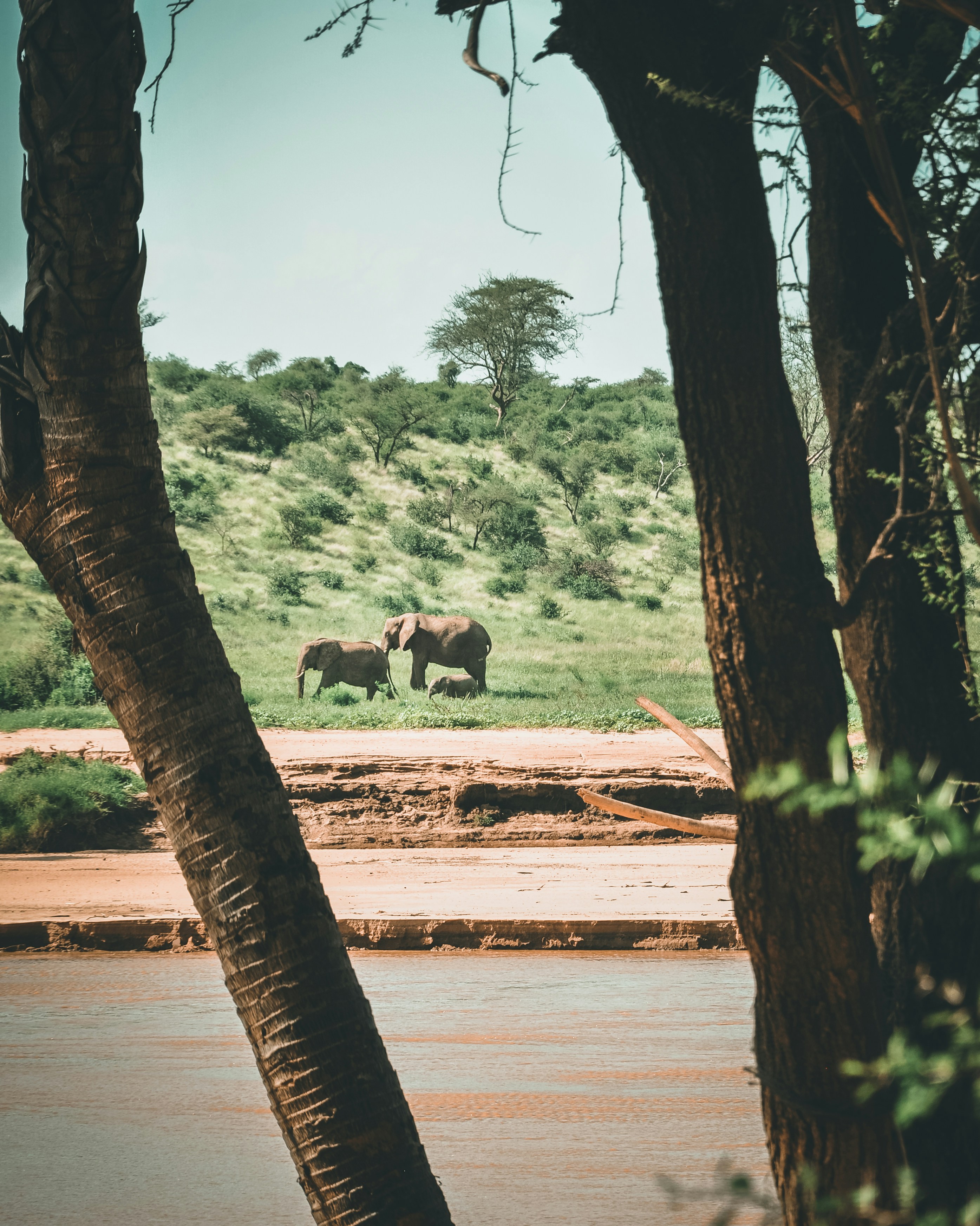 Ewaso Nyiro River Walk