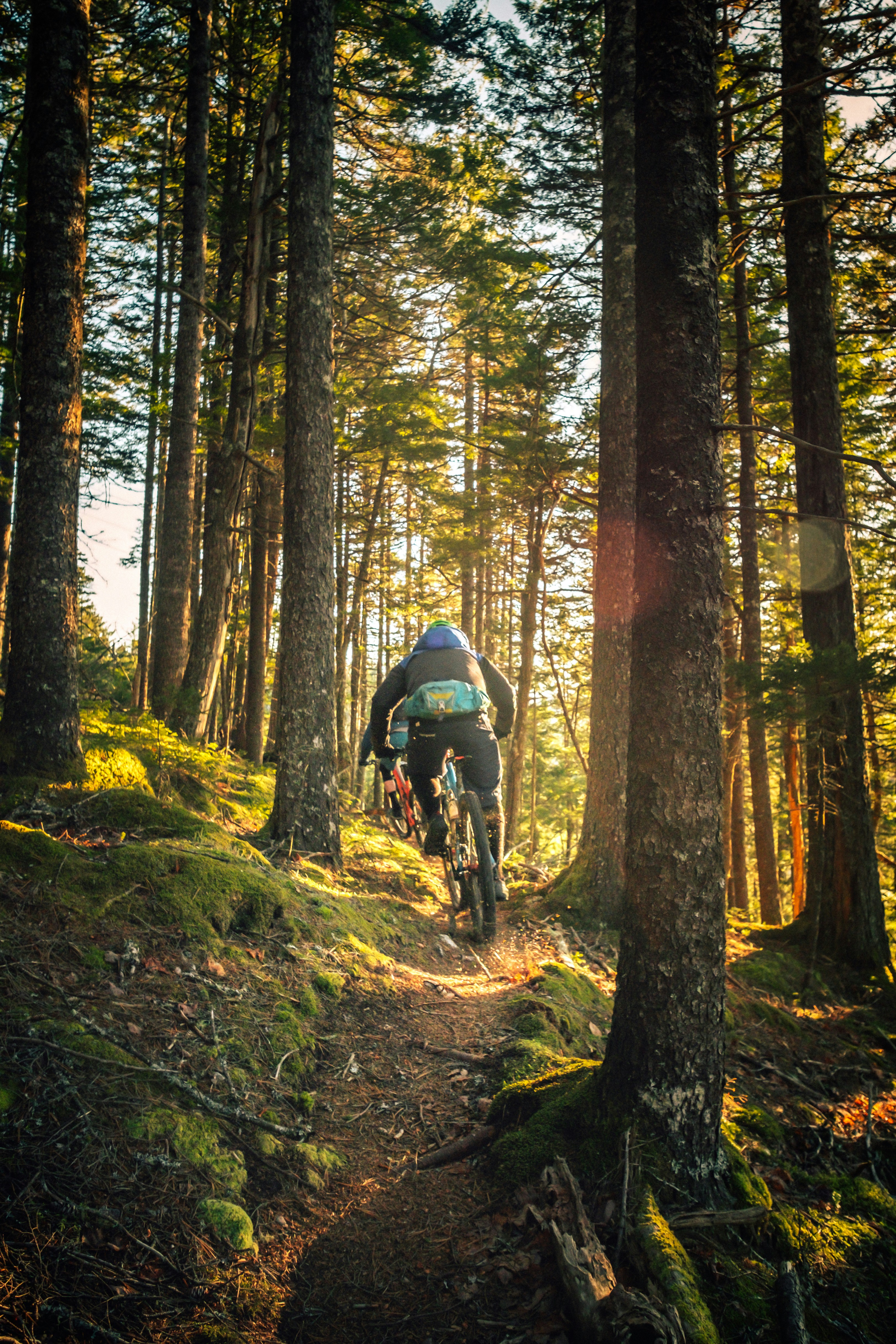 Mountain Biking