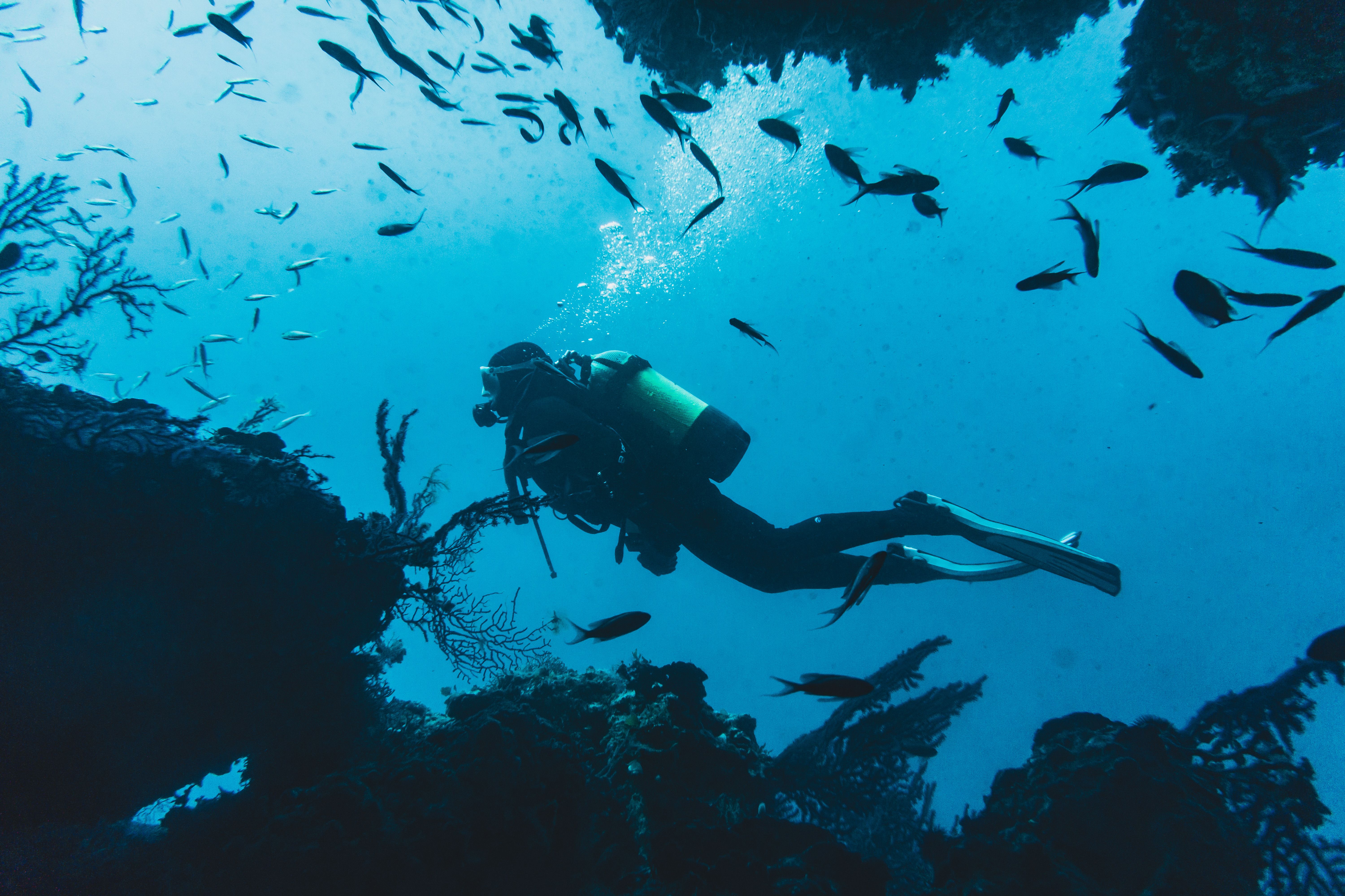 Scuba Diving in Watamu Marine Park