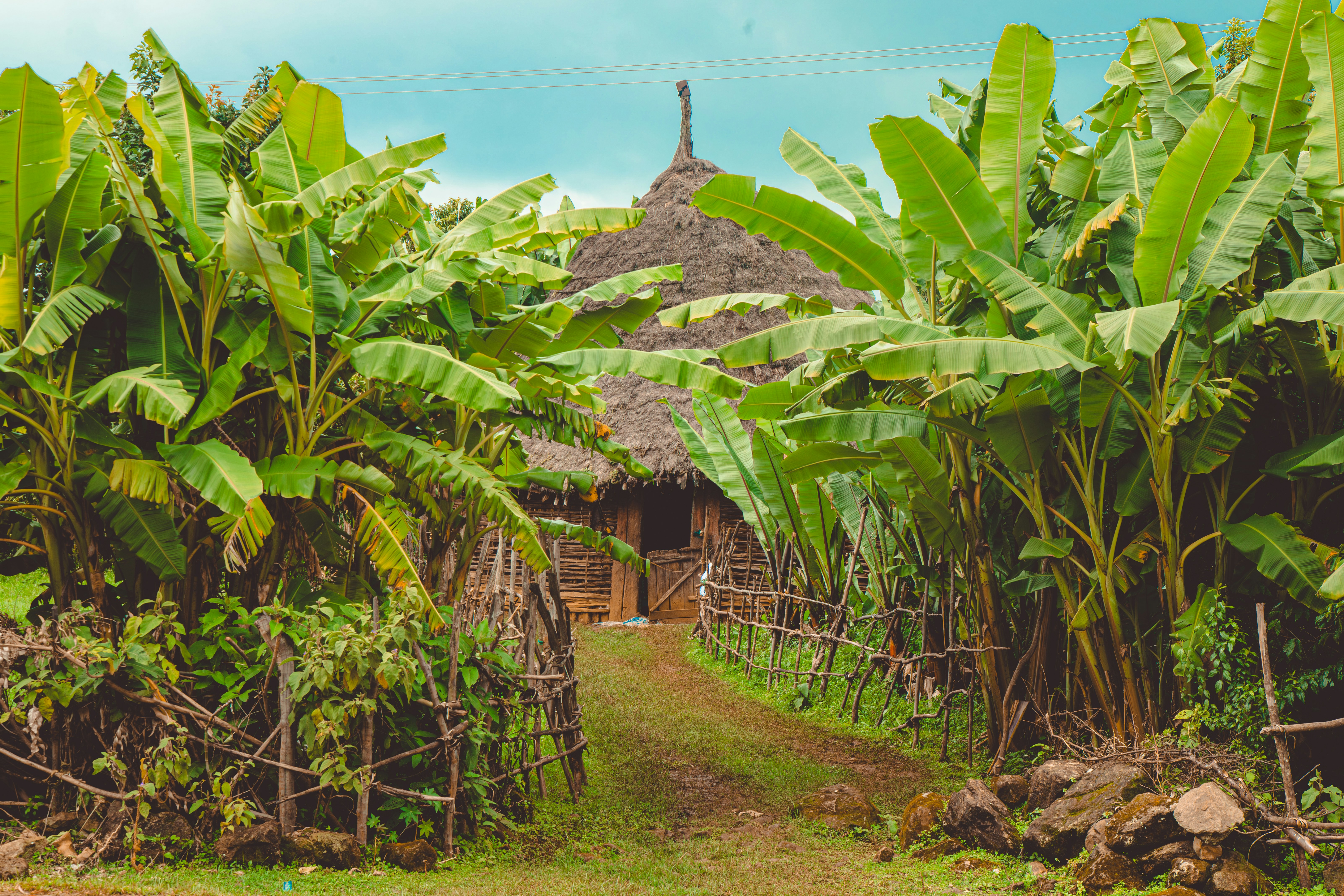 Bomas of Kenya