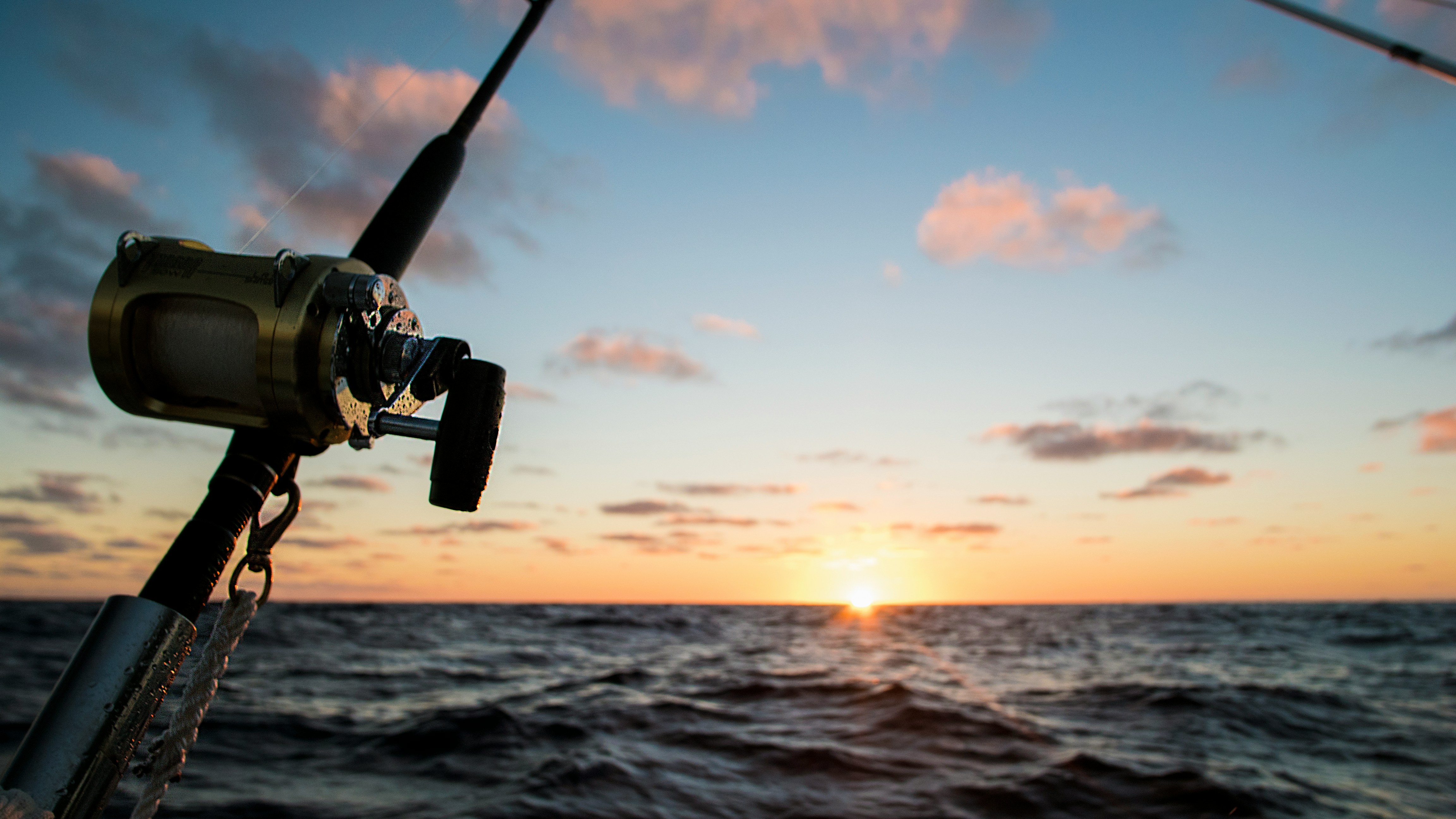 Deep-sea Fishing Charter