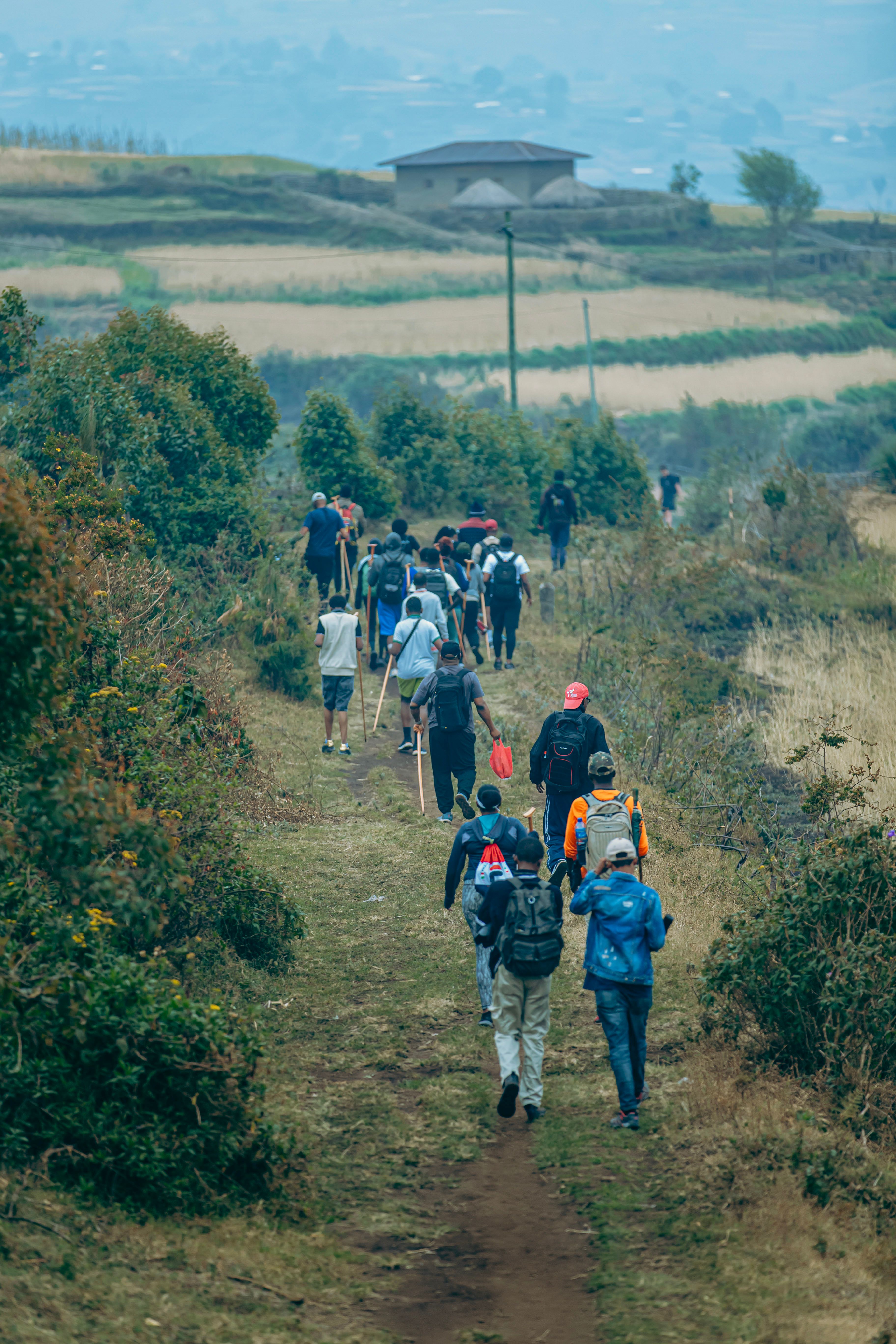 Highland Forest Walk and Nature Hike