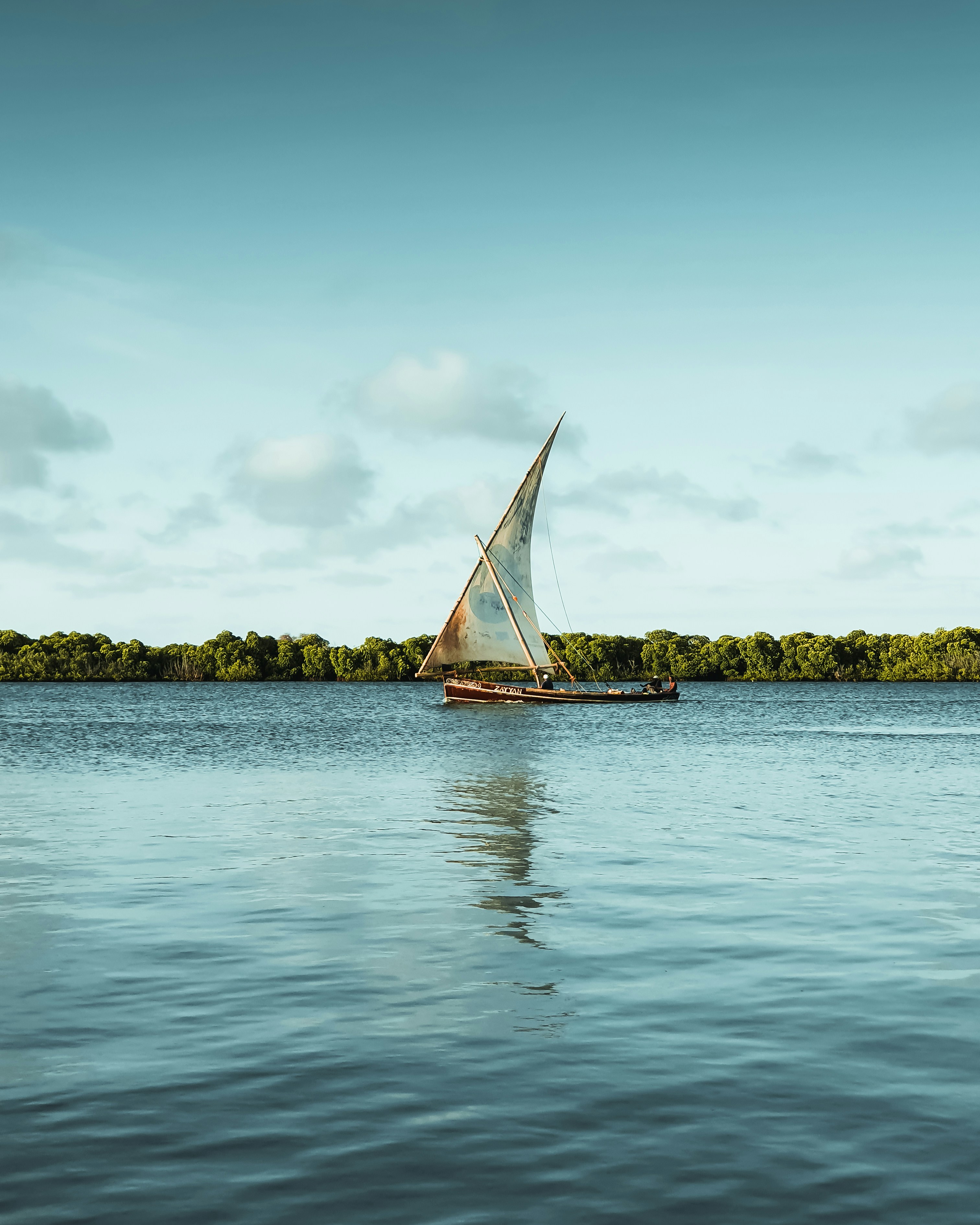 Traditional Dhow Sailing