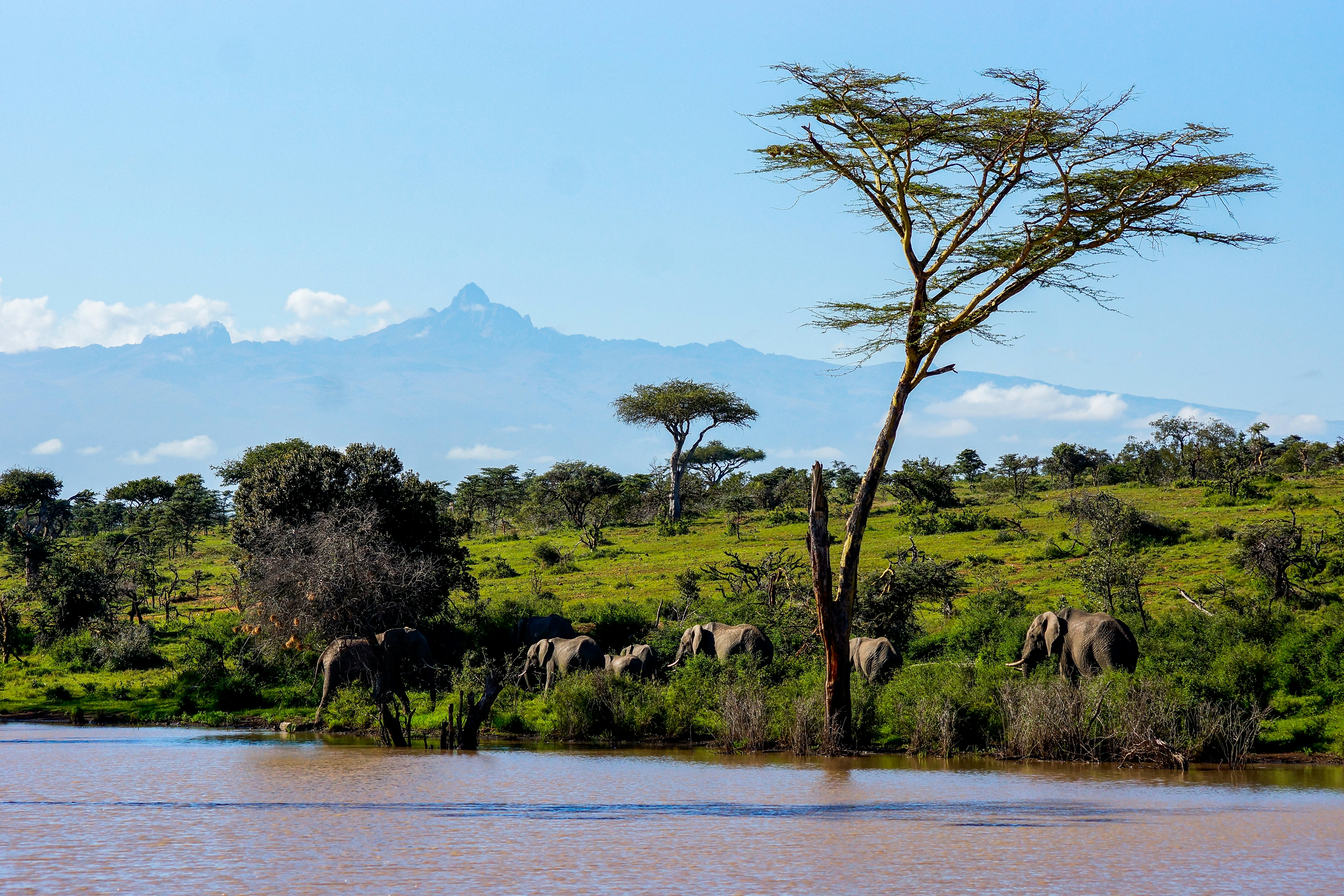 Mount Kenya & Nanyuki