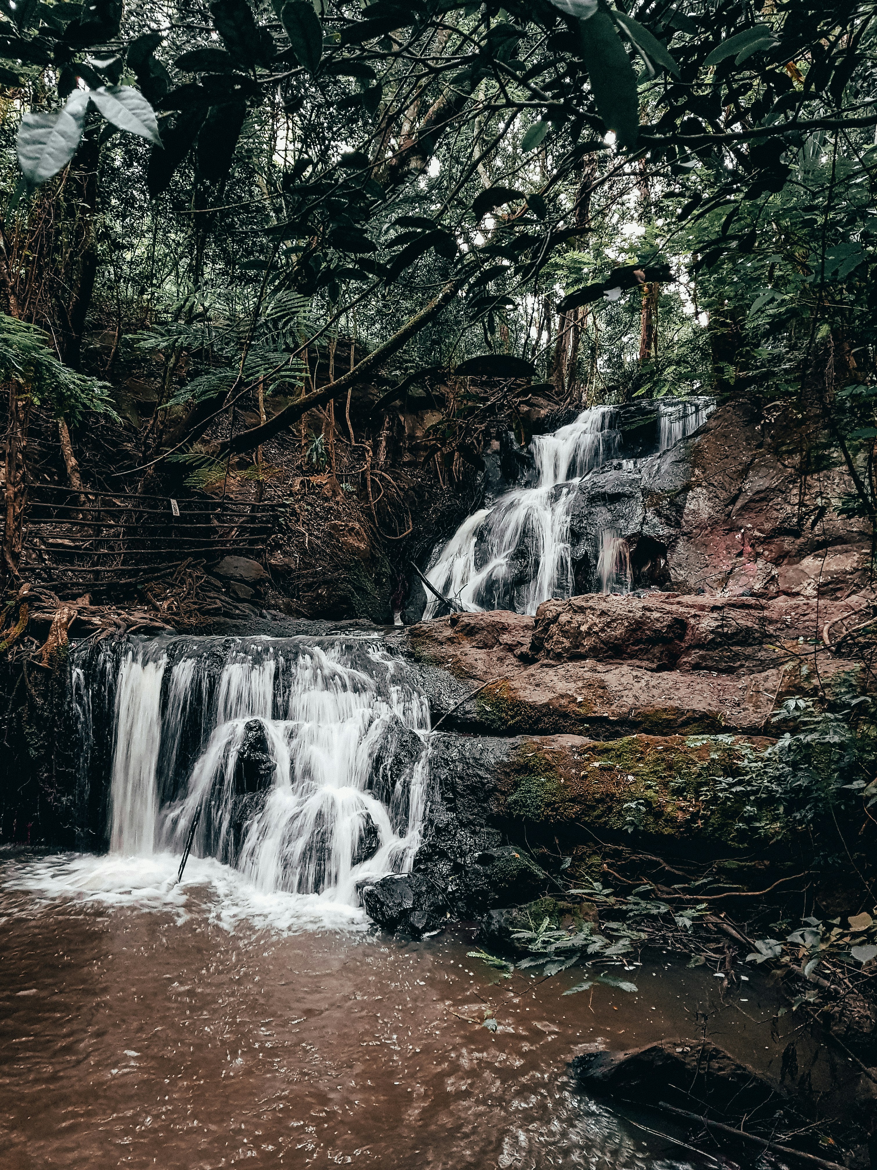 Karura Forest
