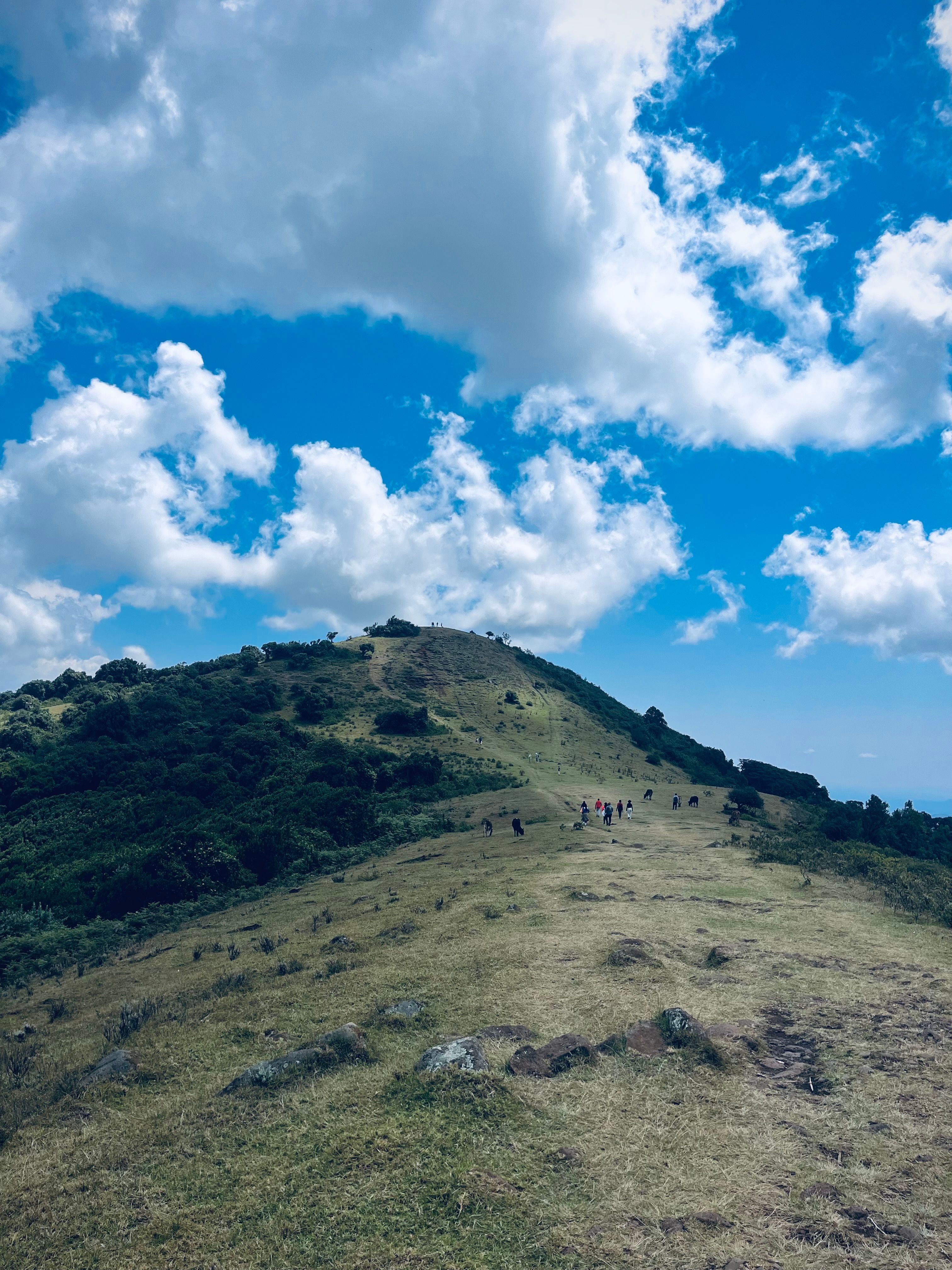 Ngong Hills