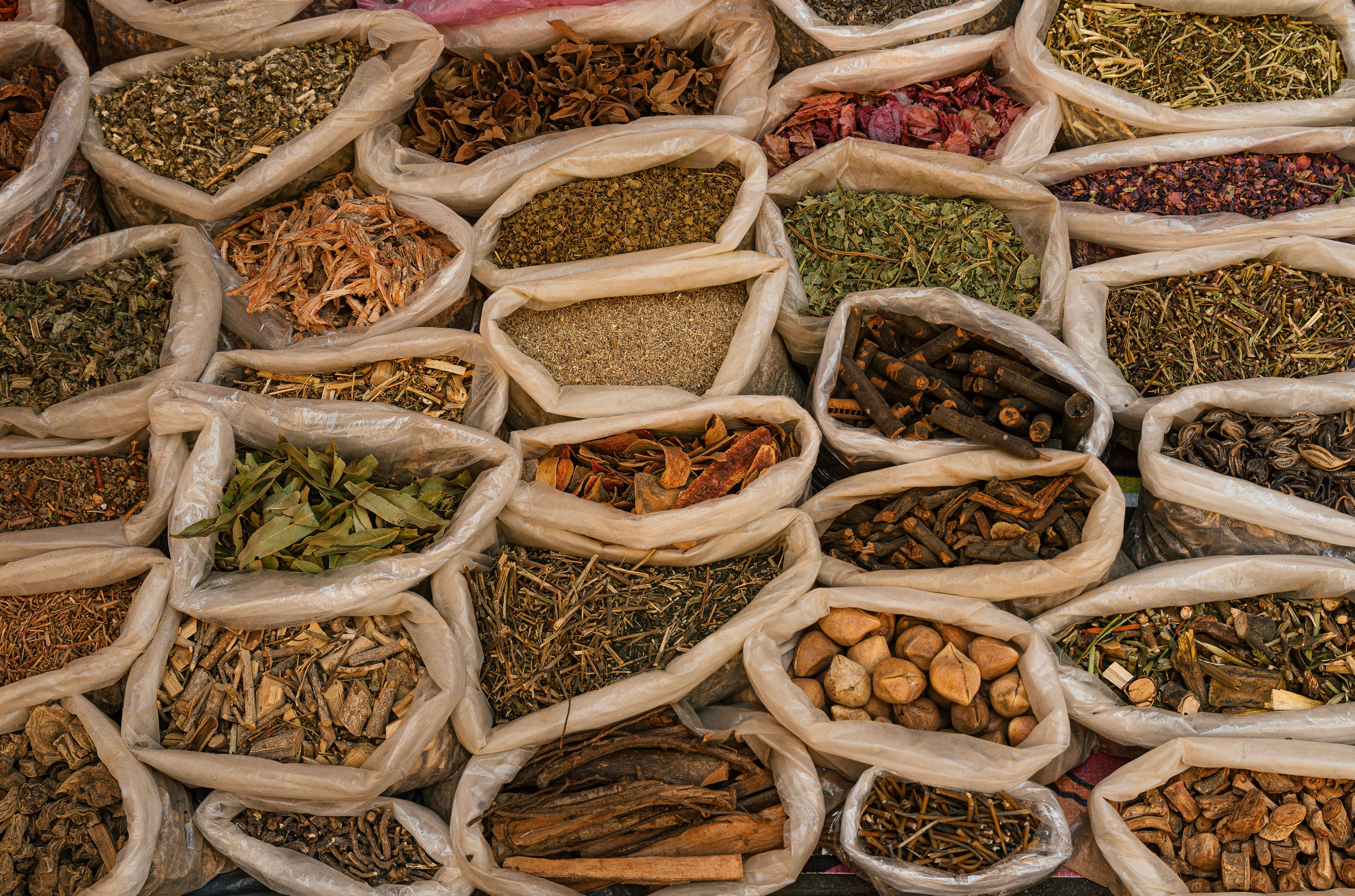Spice Route — Kenya to Zanzibar