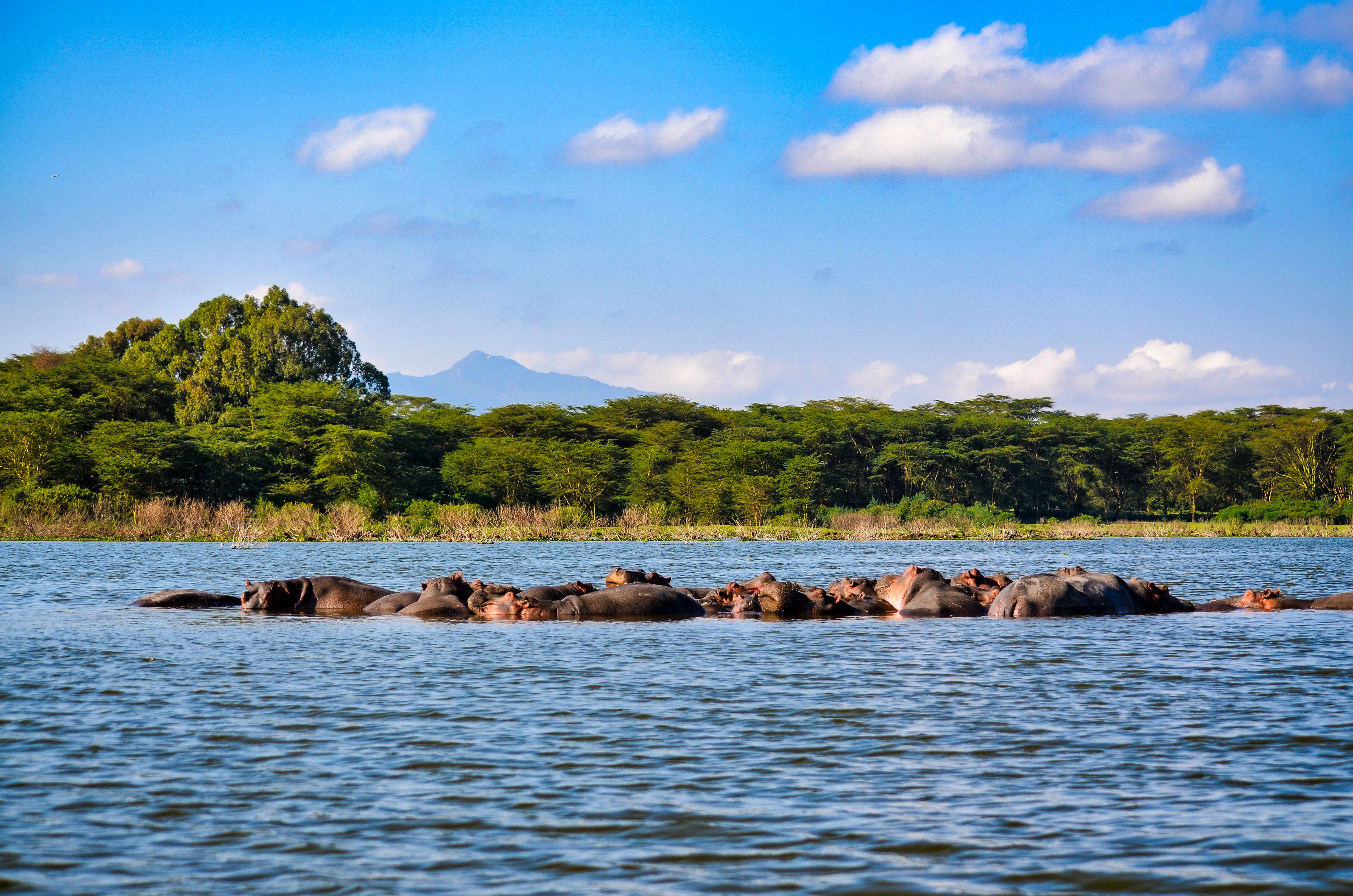 Rift Valley Rush